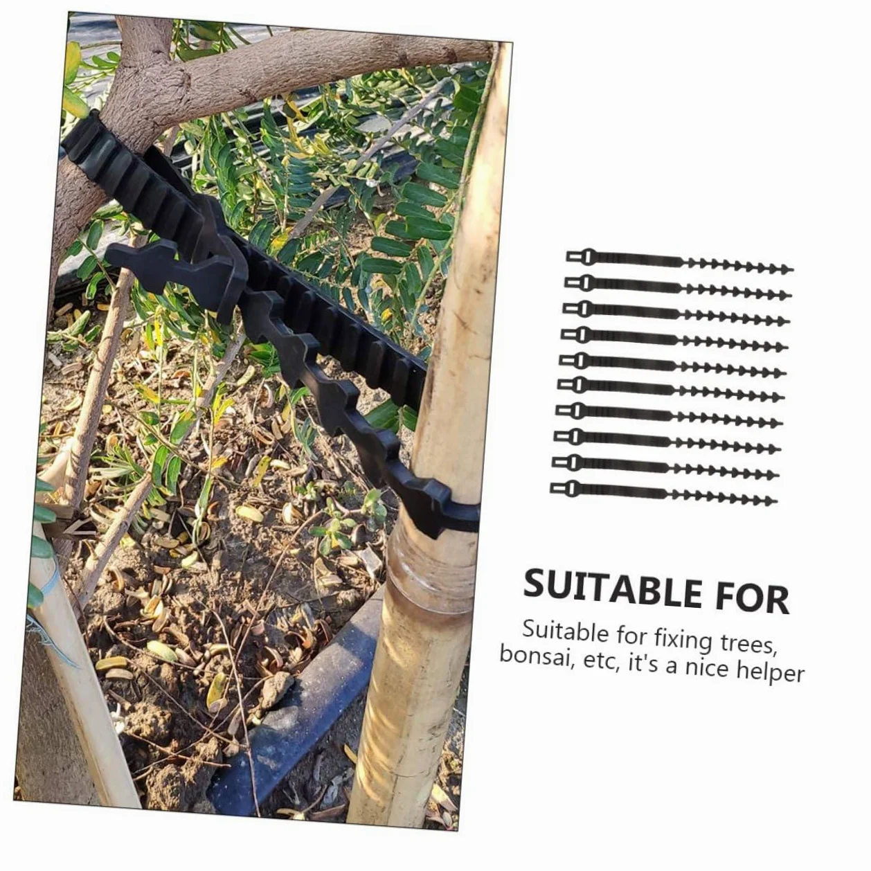 Lot de 10 Sangles en Caoutchouc pour Attache d'arbre Fruitier, Supports Robustes et Ajustables pour Fixation et Formation des Jeunes Plants