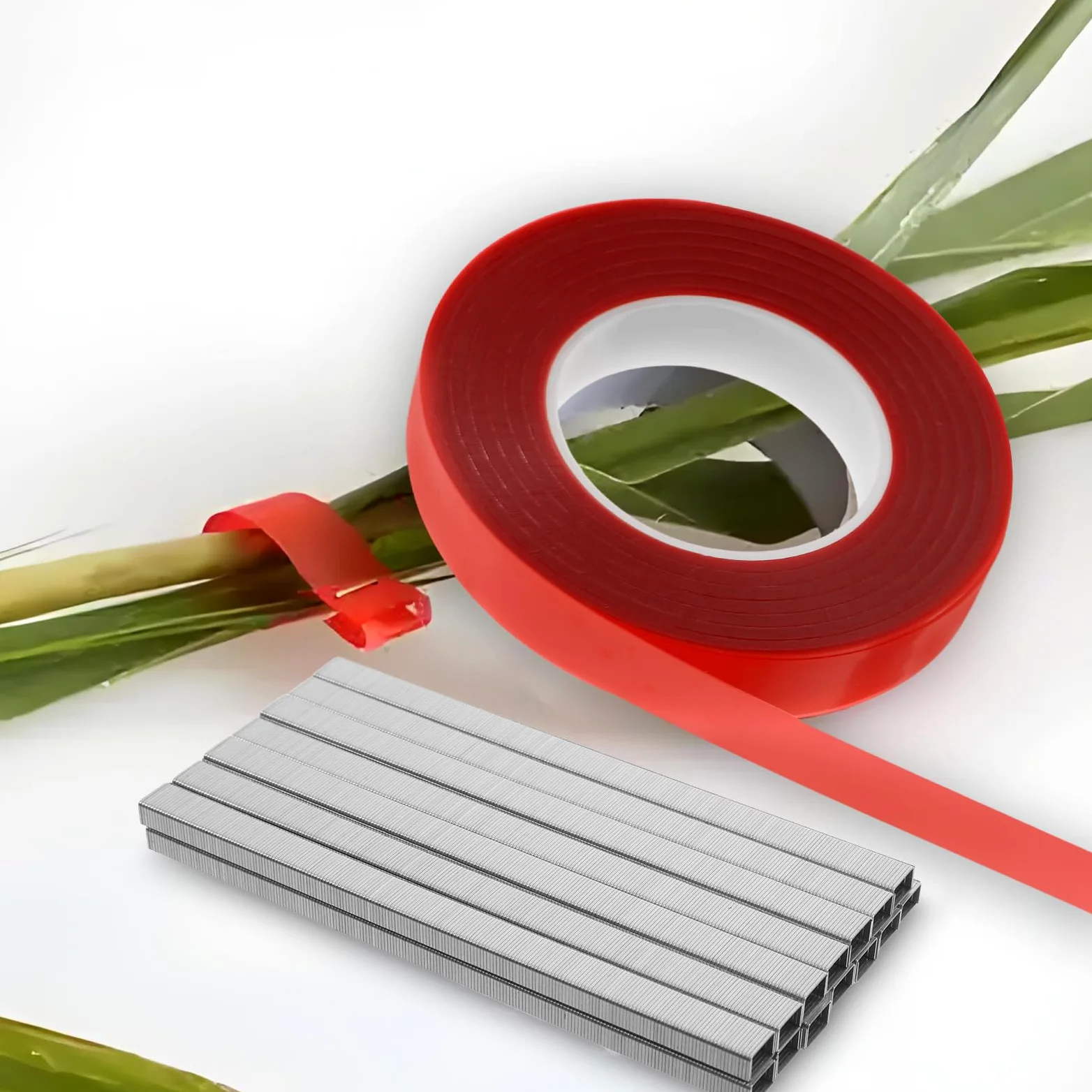 Lot de 10 attaches pour plantes de jardin en PVC avec pointes métalliques, parfaites pour support de plantes d'extérieur, accessoires de jardinage, solutions de fixation robustes pour légumes et
