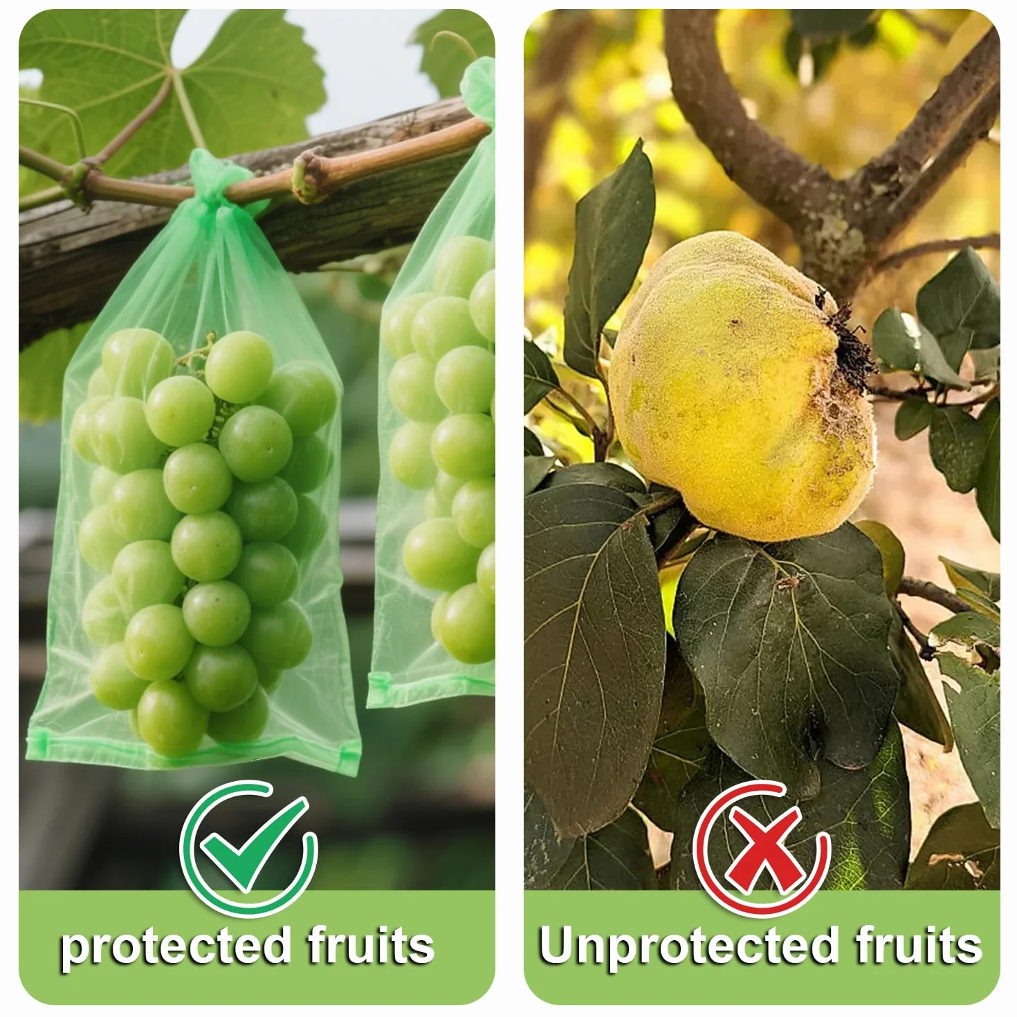 Sachet Protection Raisin 100 Pièces 20 x 30cm Vert Armée
