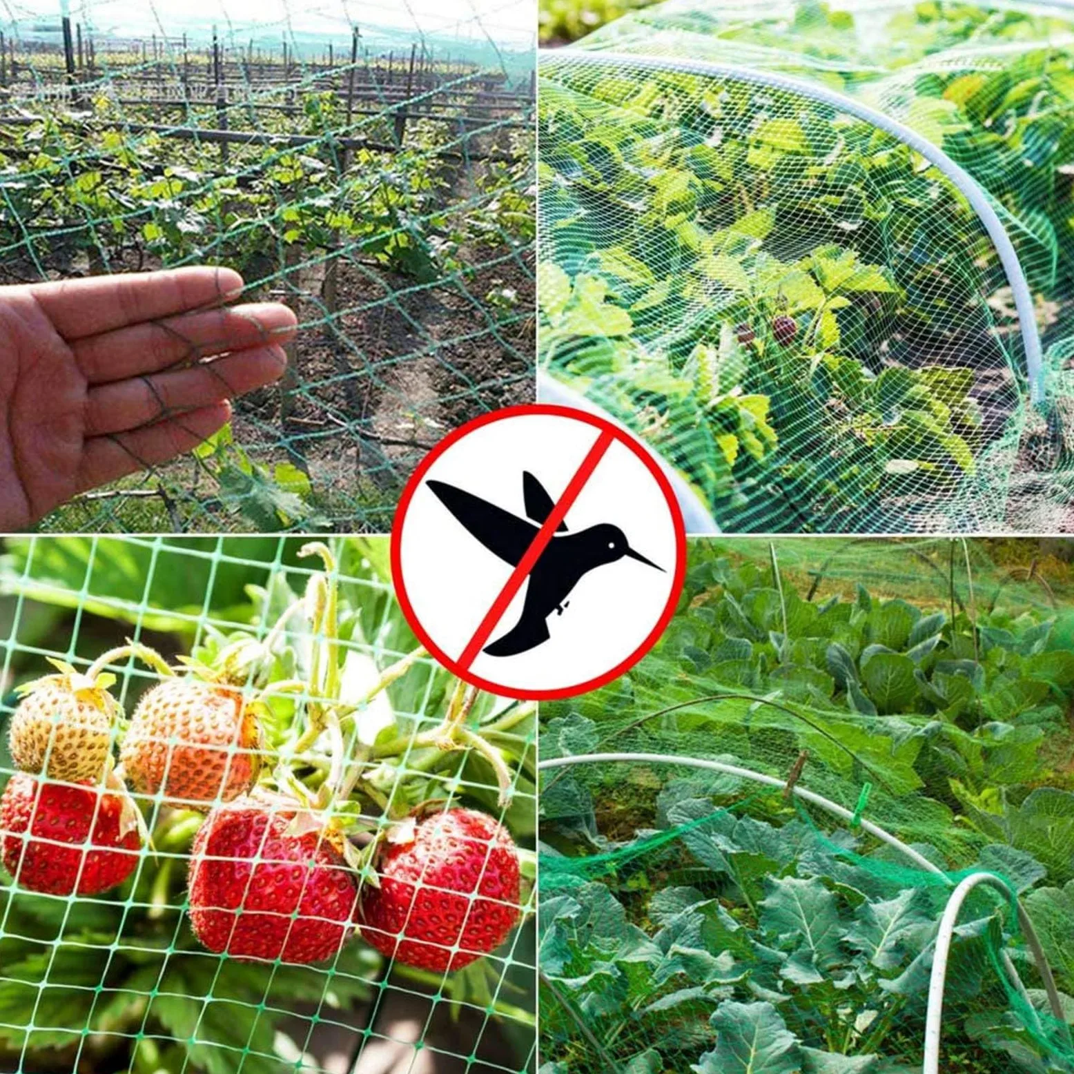 Filet Protection Oiseaux Potager Filets pour Jardin Potager Idéal pour Prévenir Les Oiseaux et Les Gros Insectes,3x10m