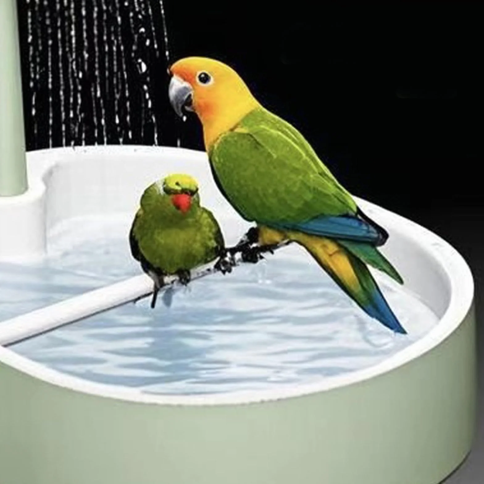 Bain de volière Universel pour Oiseaux : Fontaine de Douche Automatique pour perruches, Grand Bain pour Perroquet, Baignoire à Eau circulante pour perruches, Conures, cacatoès et Diamants de Gould