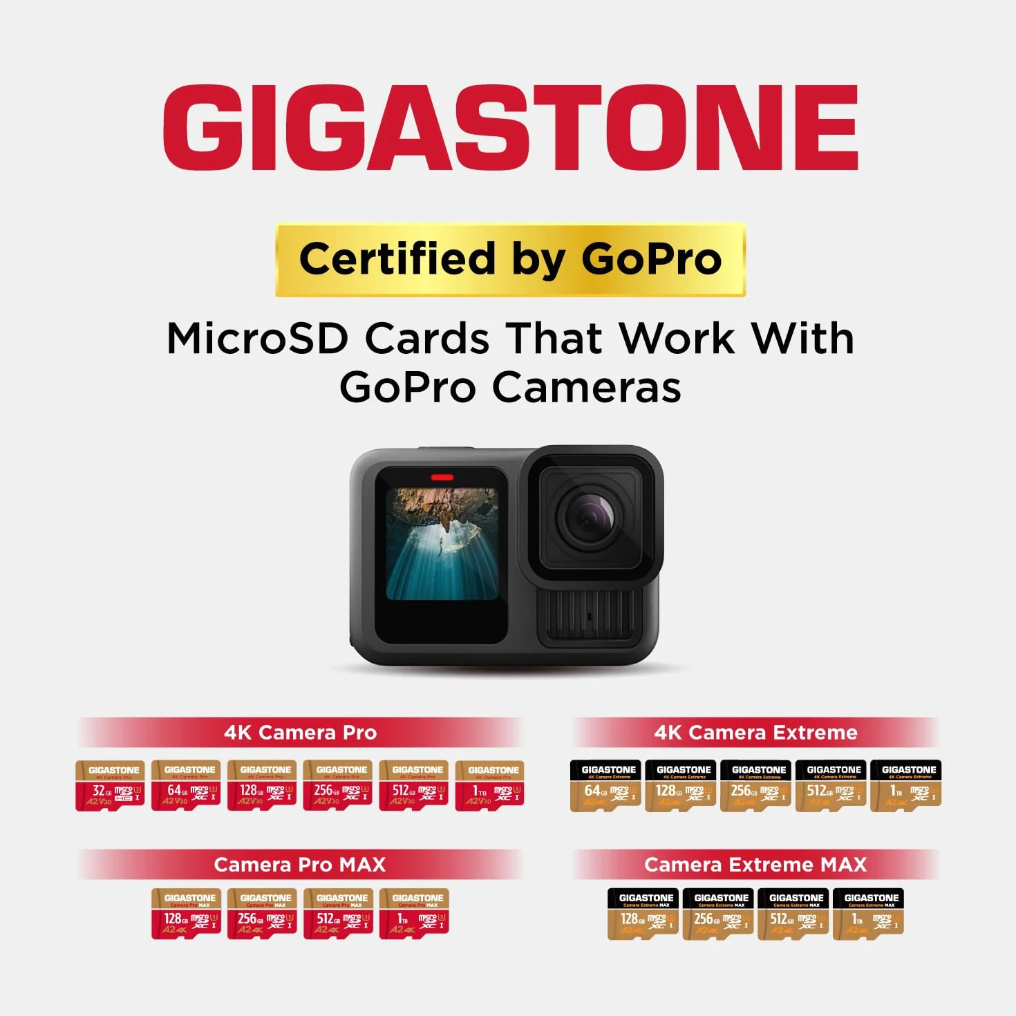 Gigastone Carte Micro SD 128 Go microSDXC UHS-I U3 A2 V30 C10 100/50 Mo/s