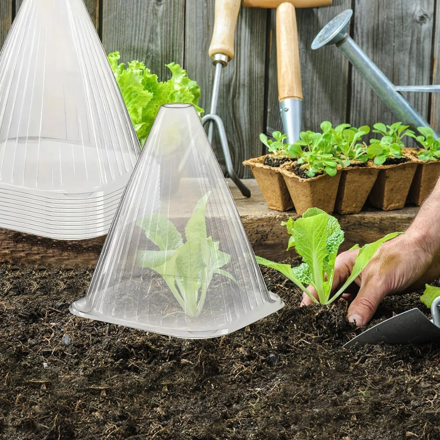KAHEIGN 20 Pièces Cloches pour Plantes de Jardin 22CM x 19CM Plastique Protection Contre Gel
