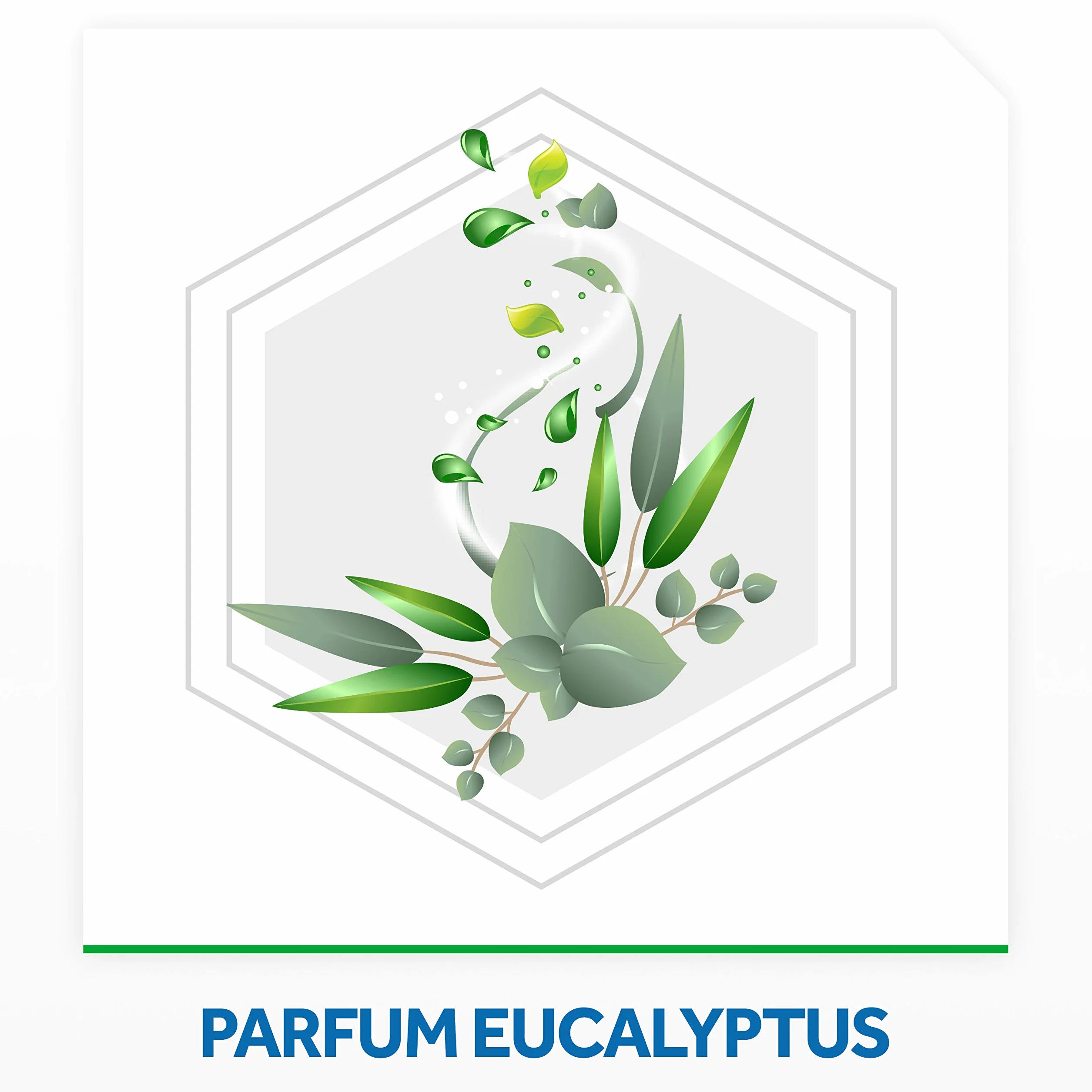 Raid Max Aérosol Mouches et Moustiques 2 en 1 Action Rapide Longue Durée Parfum Eucalyptus 24h
