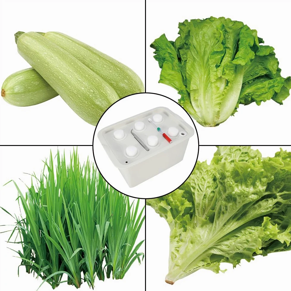 Kit de culture hydroponique, kit de culture de système hydroponique de plantes à 6 trous Kit de jardinage d'herbes d'intérieur de boîte à outils de calibrage intelligent bricolage(gris)