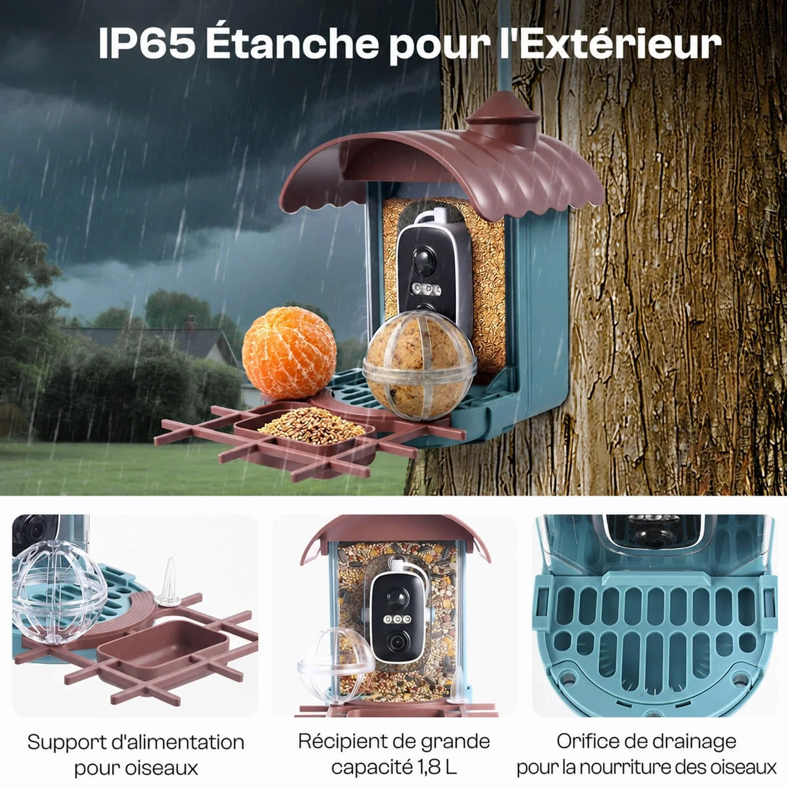Nichoir à Oiseaux avec Caméra 4MP Solaire mangeoire Station d'alimentation Enregistrement vidéo Photo Identification IA Détection Mouvement Notification