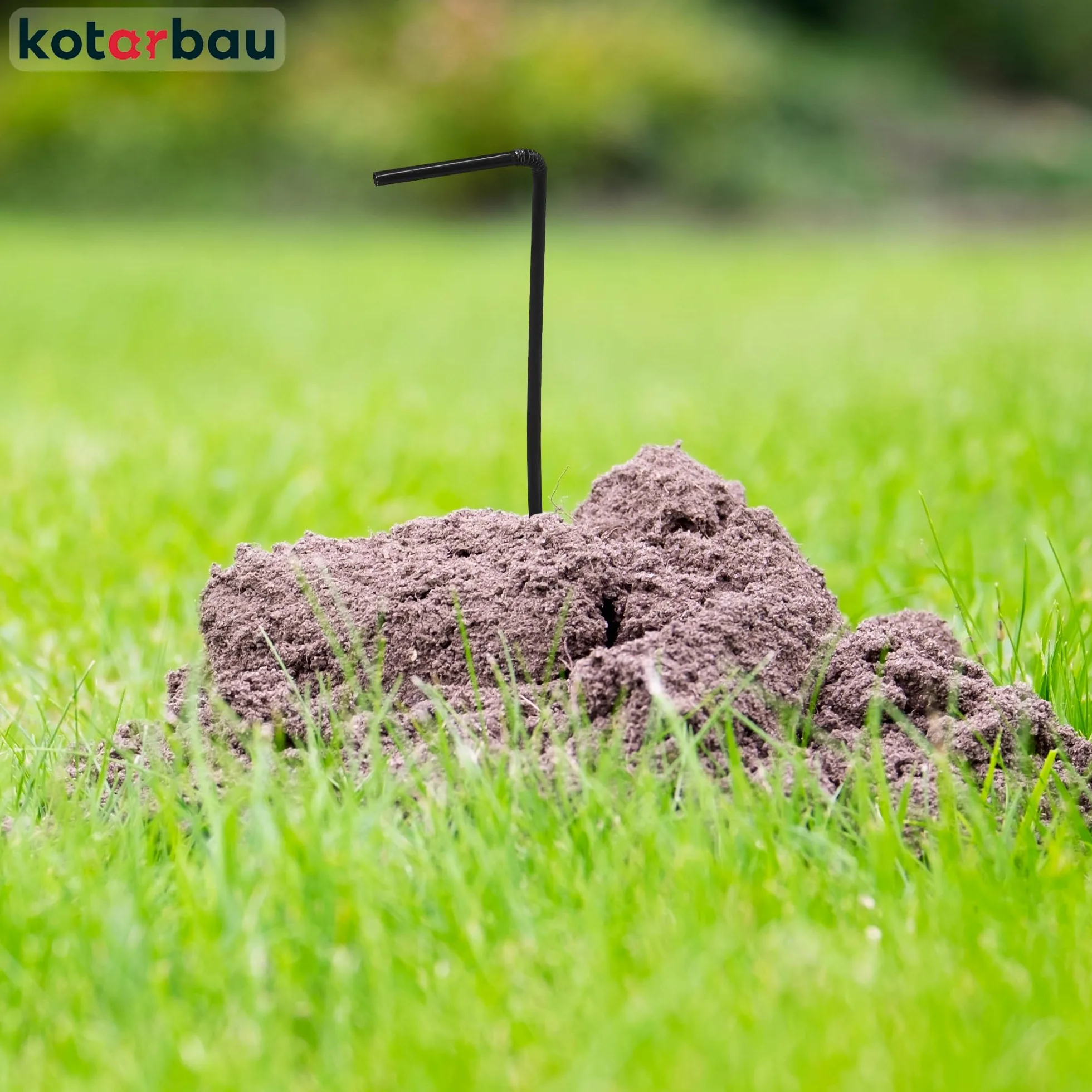 KOTARBAU Piège à Taupes avec présentoir, Lot de 6 25cm Piège Vivant respectueux des Animaux pour campagnols