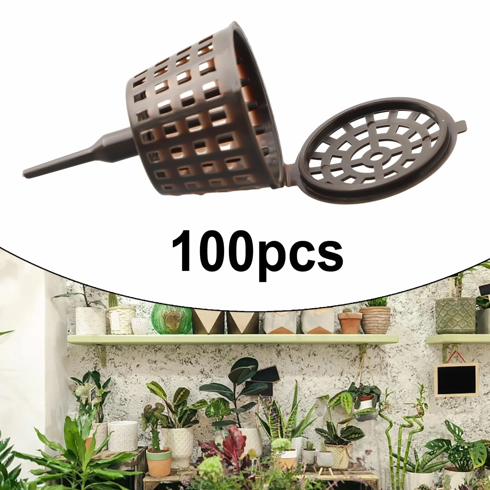 Lot de 100 boîtes d'engrais pour bonsaï avec couvercle taille L