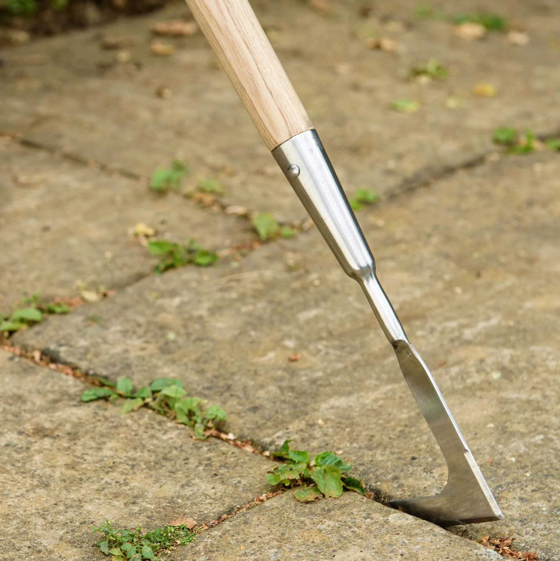 Kent & Stowe désherbeur Manuel à Manche Long – Couteau grattoir en Acier Inoxydable, Couteau à Joints avec Manche en frêne, Longueur : 160 cm