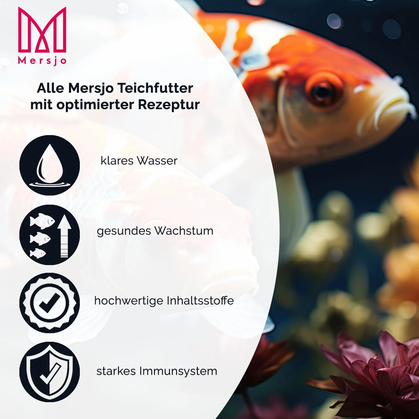 Aliment pour poissons granulés flottants 5 kg 3 mm