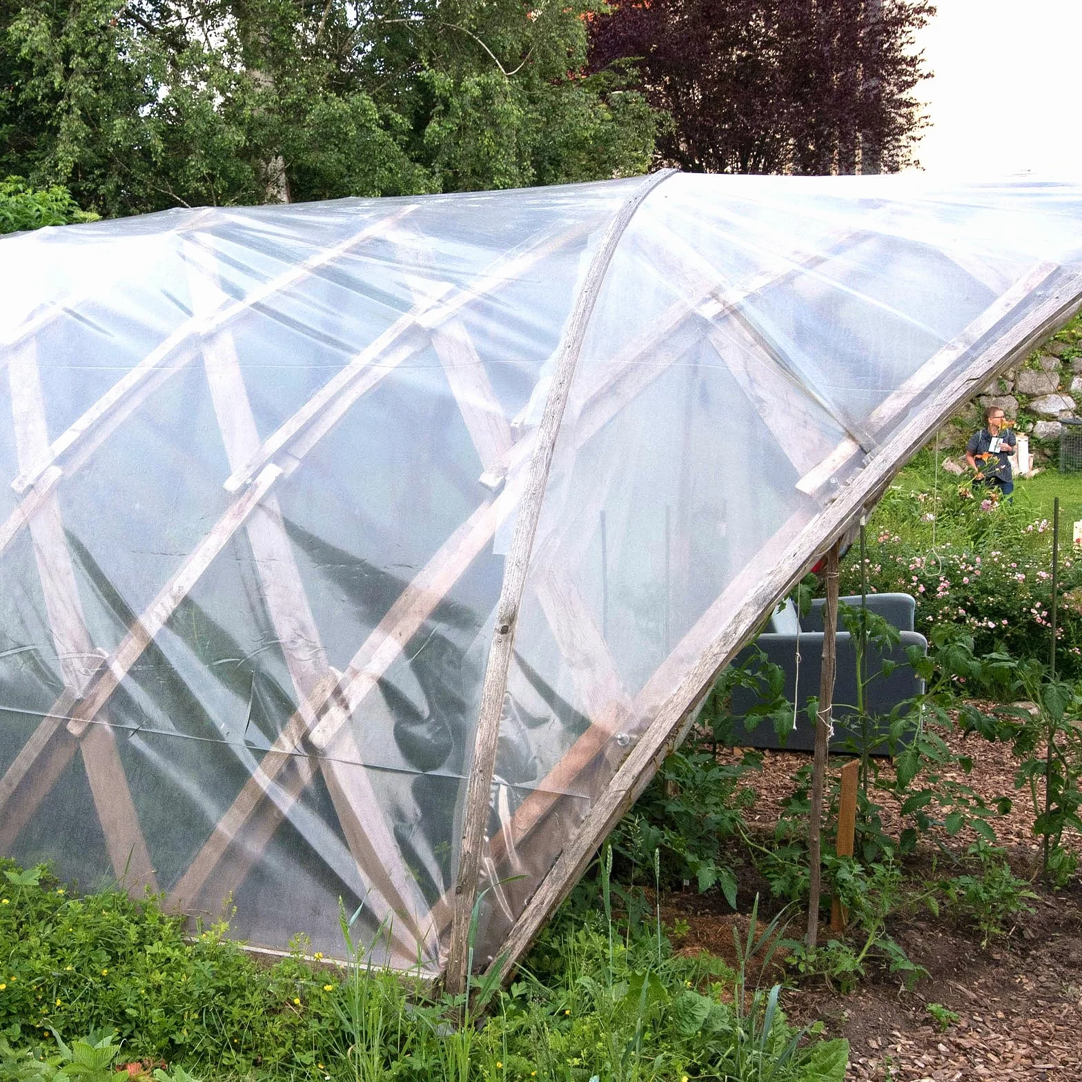 Film de serre en polyéthylène 2 x 3 m transparent indéchirable VOSSOT