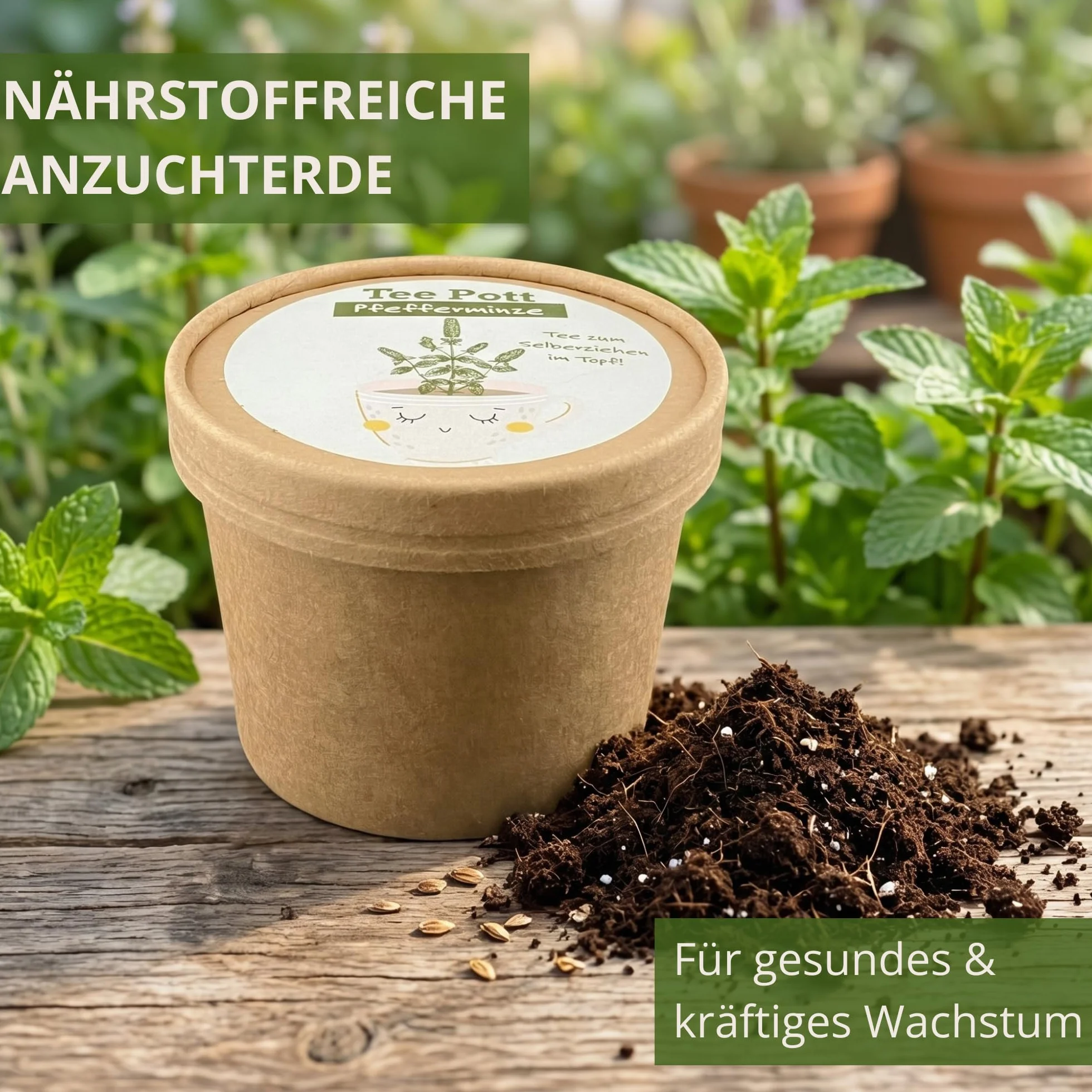 Kit de culture de menthe poivrée avec graines et terre pour rebord de fenêtre