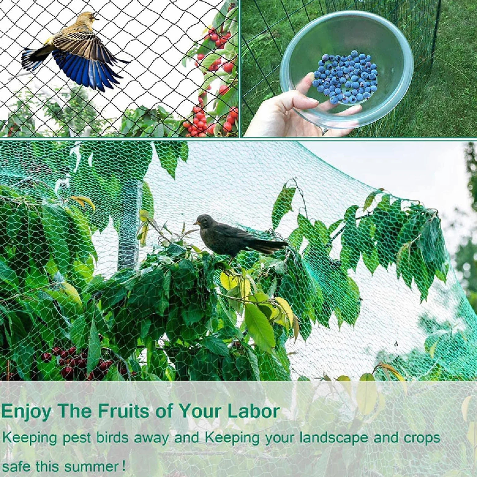 Filet Oiseaux Filet Anti Oiseaux Filet à Oiseaux Robuste Légumes Mesh Net pour Oiseaux Contrôle,3x10m