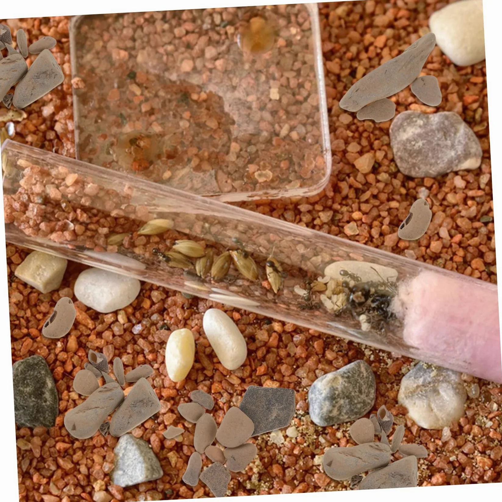 Gravier Pour Aquarium Et Pierre Décorative Pour Pot De Fleurs Petite Pour Étang De Jardin Gravier Remplaçable