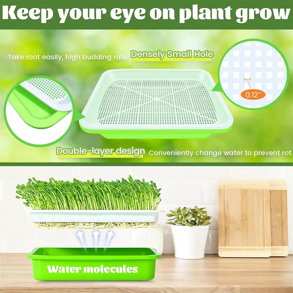 Germoir pour Graines à Germer Lot de 4 Plateau Semis 32 x 24 cm Kit Germination sans BPA