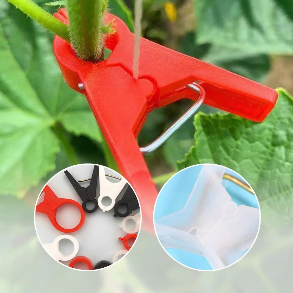 Lot de 30 clips de support de plantes pour treillis, pinces durables pour tomates et légumes du jardin, fixations faciles à utiliser, tailles 18 mm/30 mm