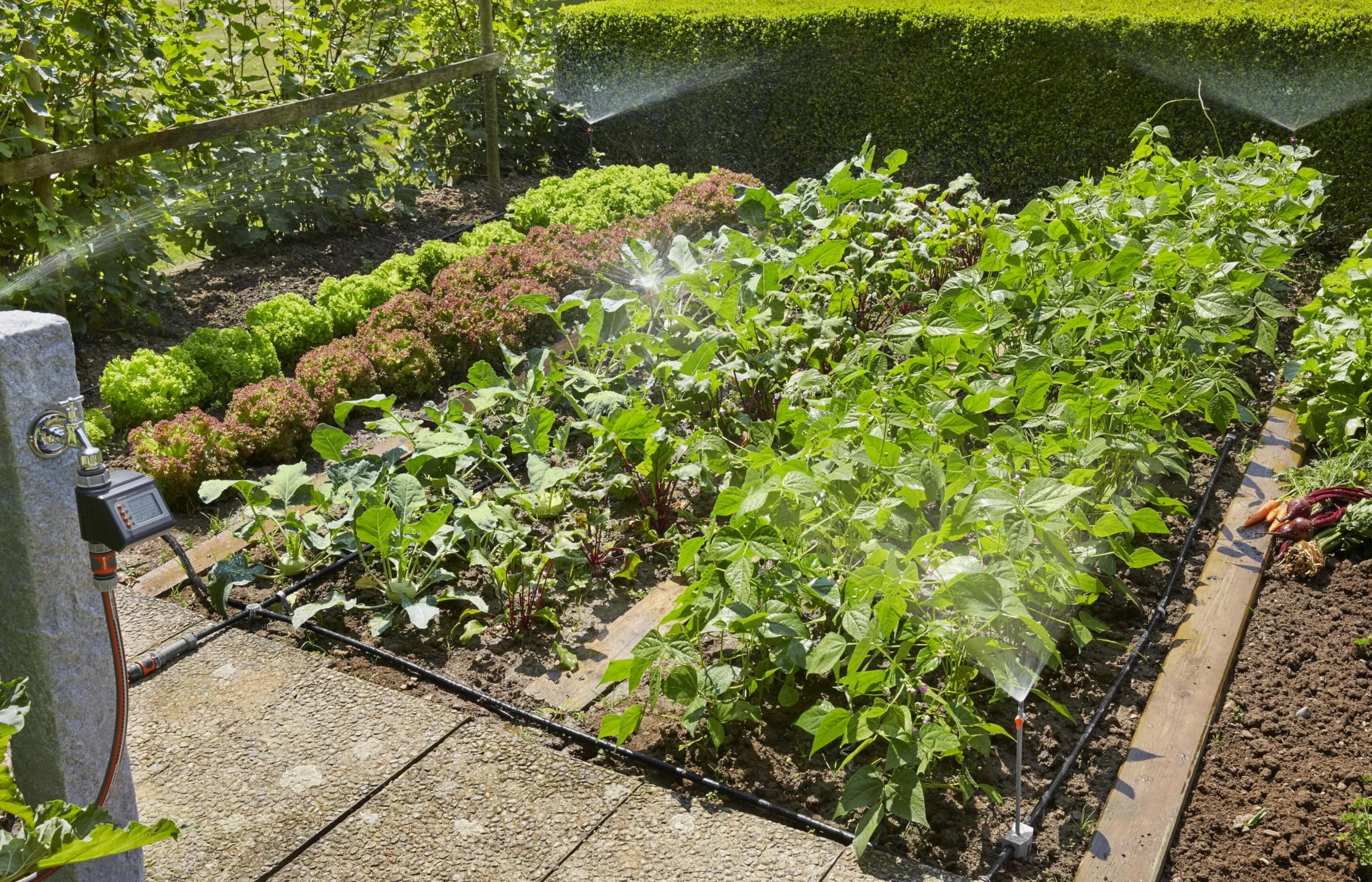 Gardena Kit d'arrosage goutte-à-goutte pour massifs et potagers : système d'arrosage Micro-Drip pour un arrosage individuel et flexible (13015-20)