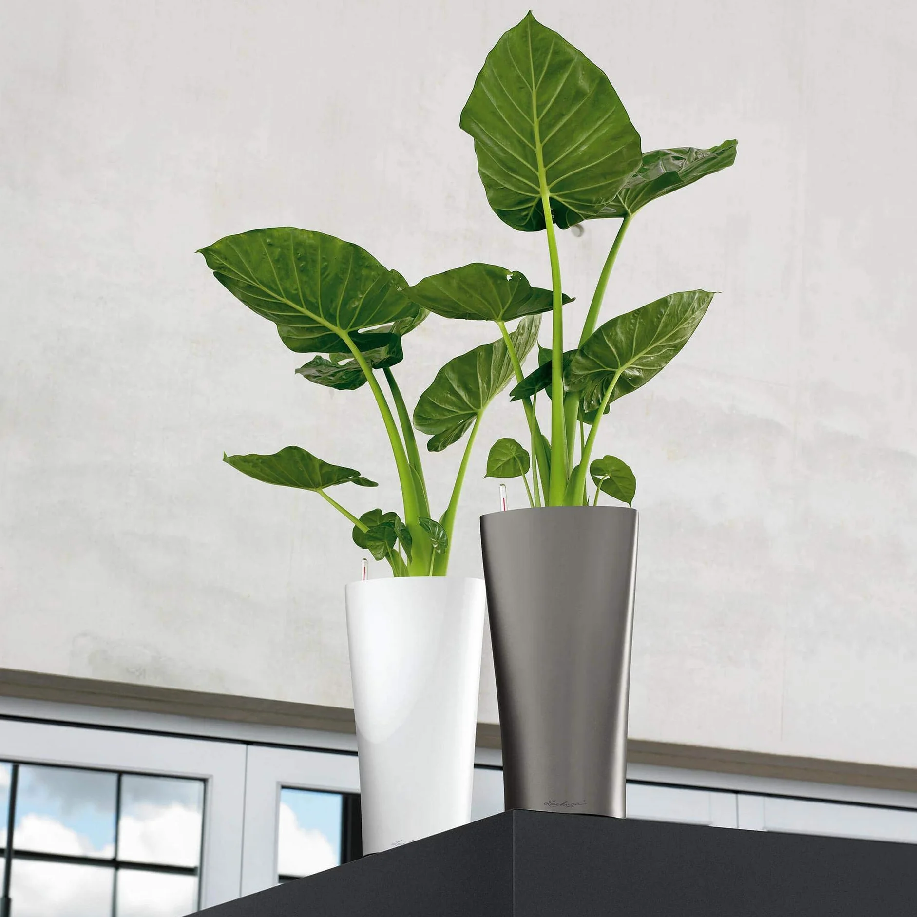 Lechuza Pot de Fleurs d'Intérieur Premium Delta 40 x 40 x 75 cm Blanc