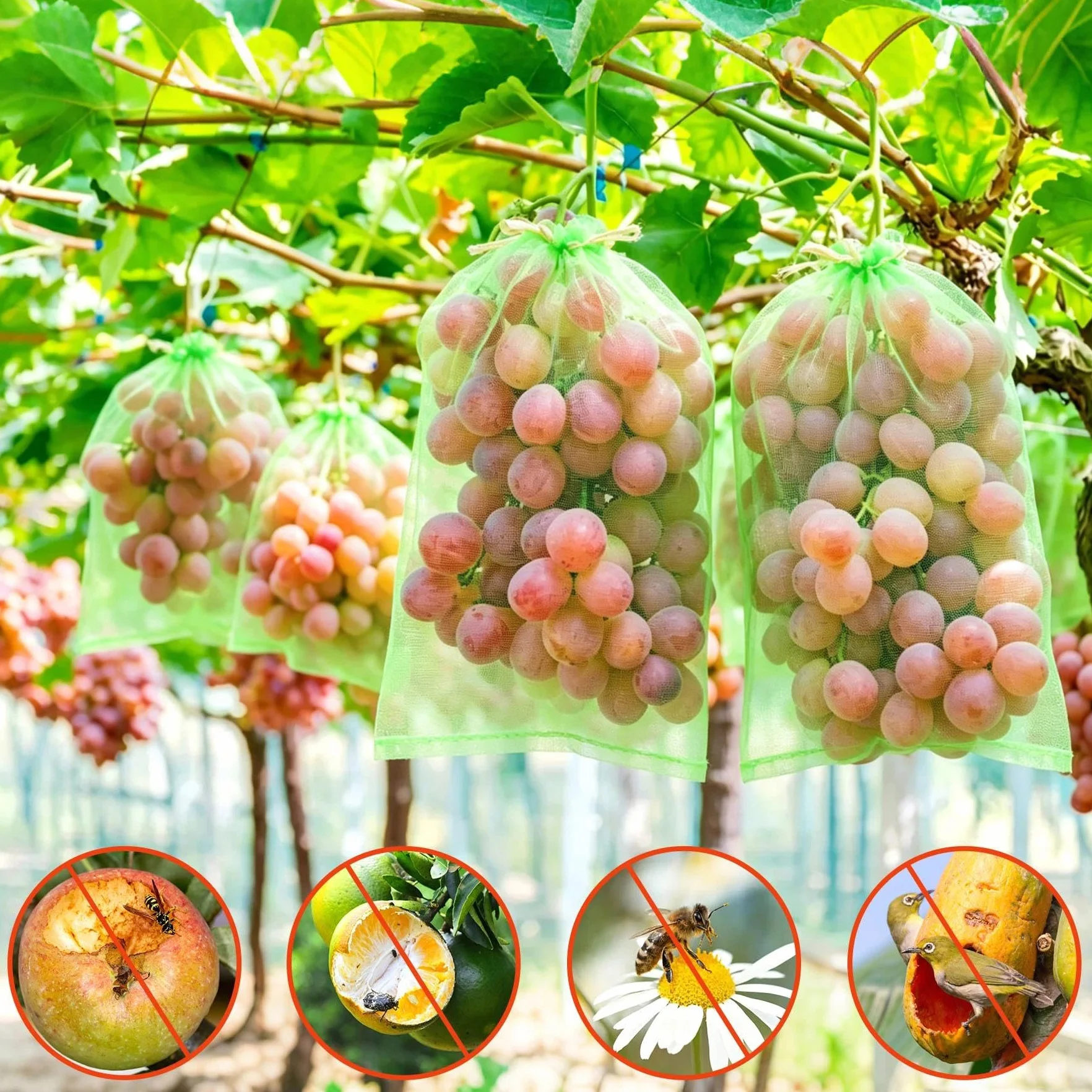 Sac Protection Fruits 40x30cm 50 pièces Sachet Protection Raisin Respirant Cordon Serrage
