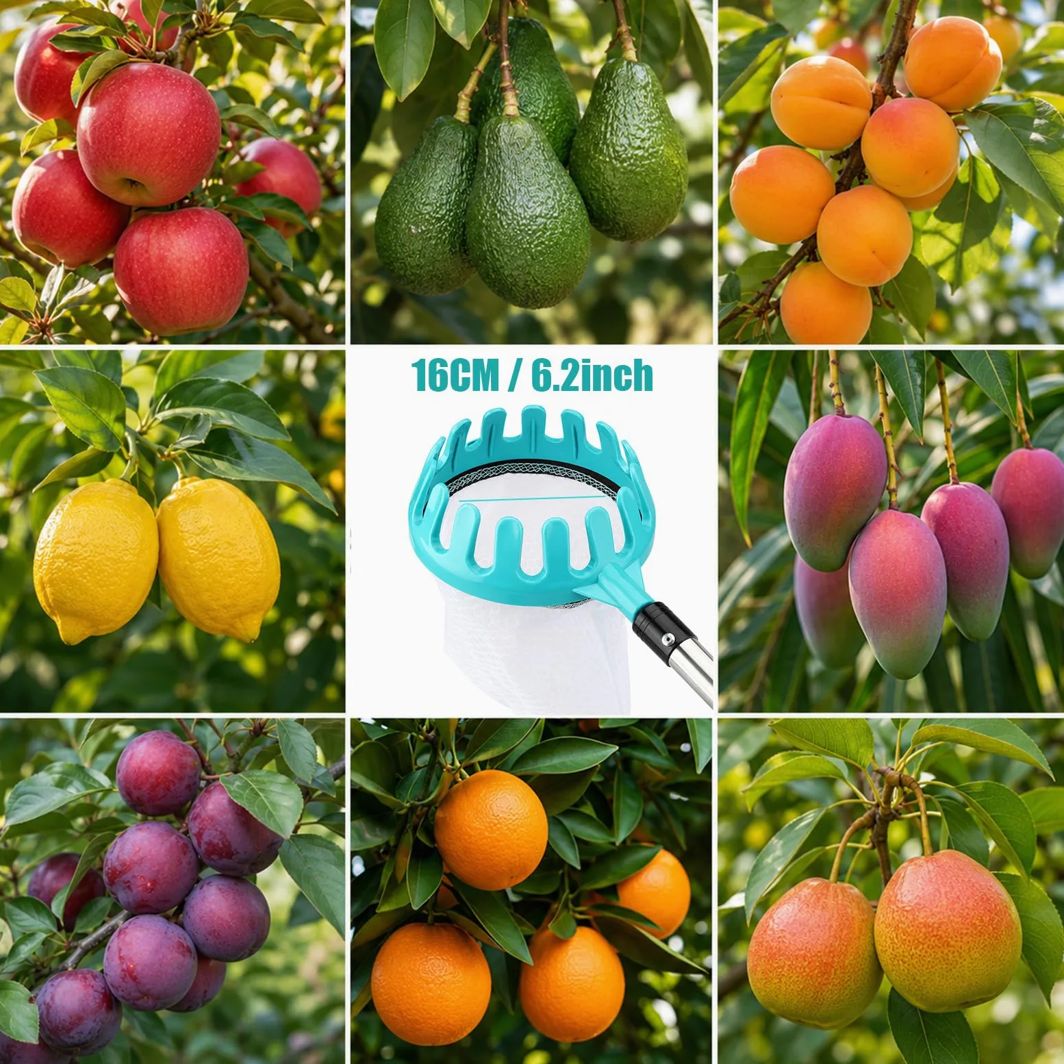 Cueilleuse à fruits de 4,6 m avec manche télescopique et sac à fruits