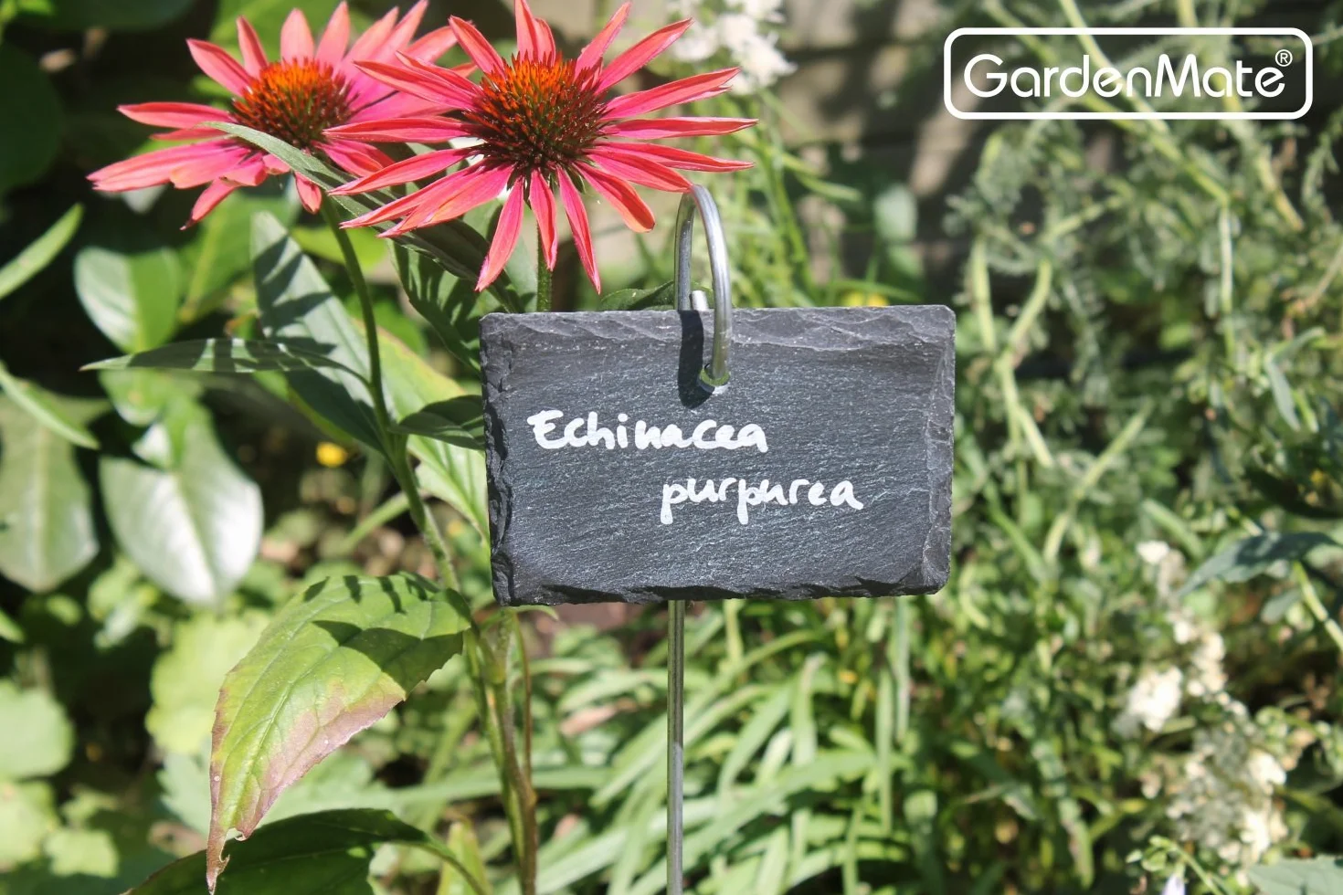 GardenMate 10-Pack 10,2 cm X2 3/10,2 cm Ardoise étiquettes 5-Pack 17" Slate Labels with Metal Rod