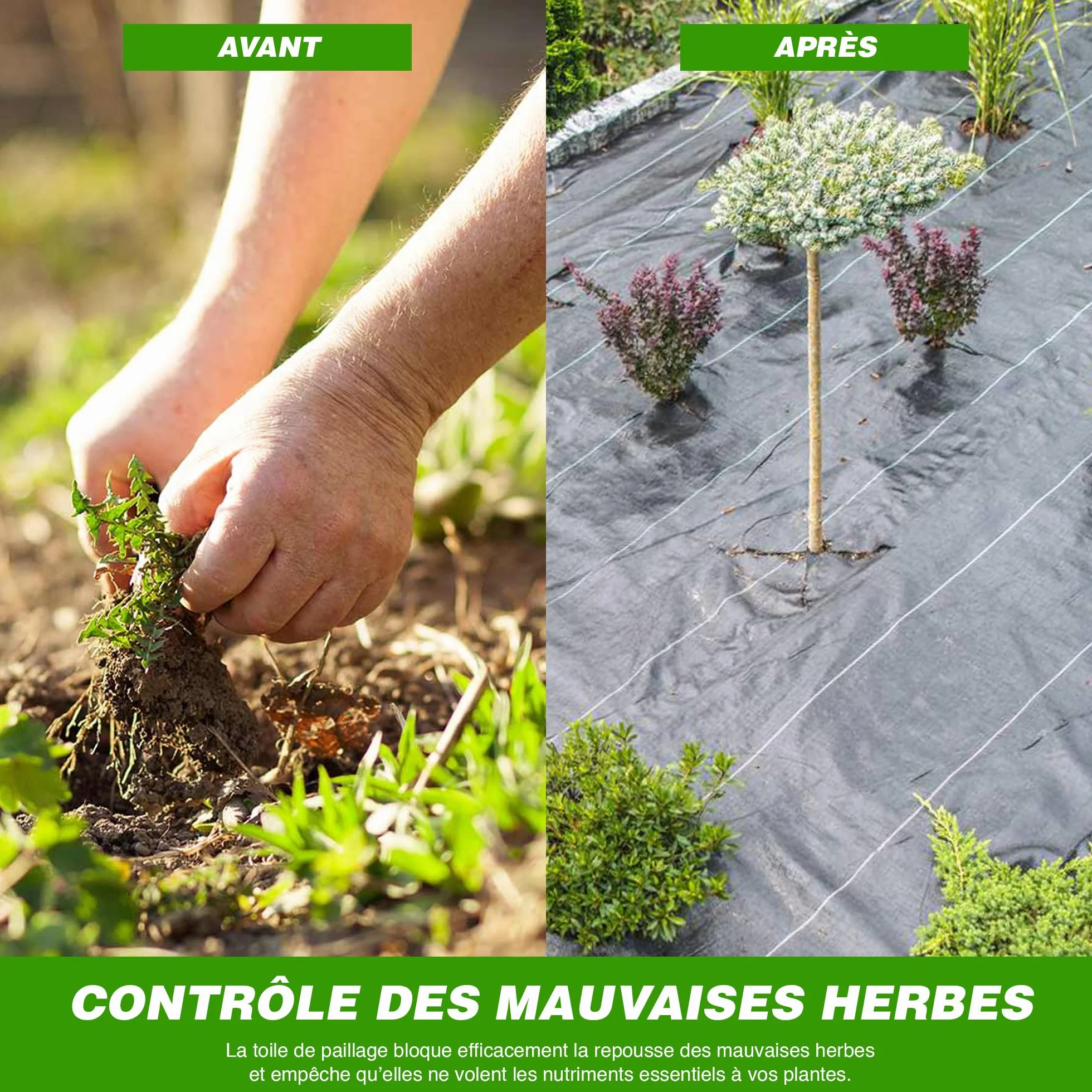 Bâche Protection Sol et Jardin 2m x 10m GROUNDMASTER Toile Géotextile Anti Mauvaises Herbes Anti UV