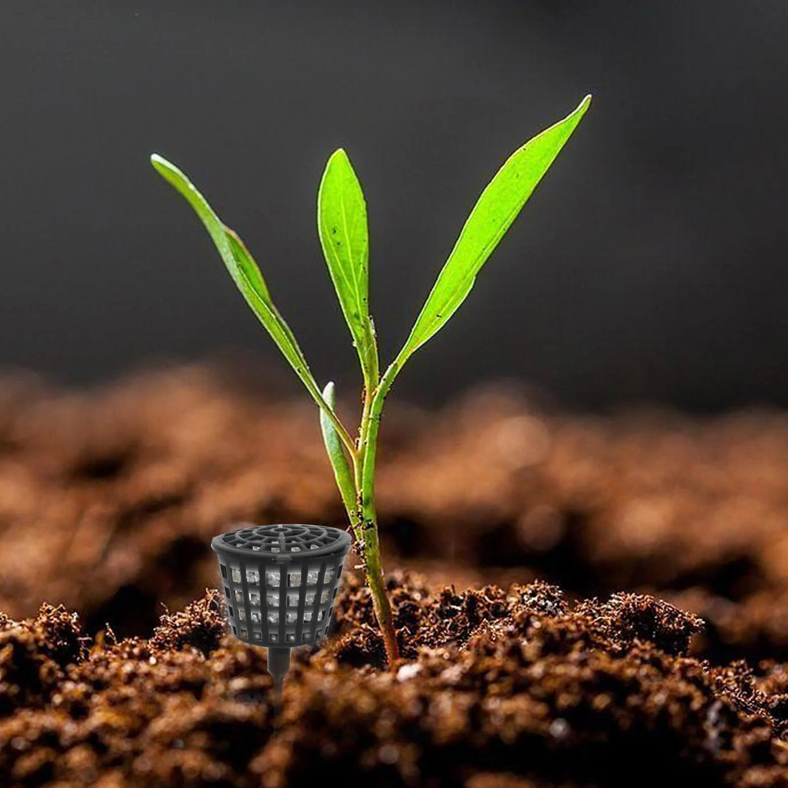 TECKI 30 Pièces Boîte Engrais Bonsai Plastique Noir avec Couvercle