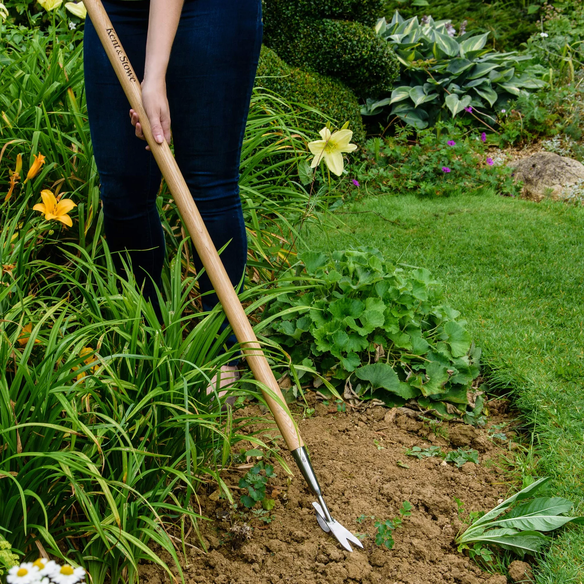 Kent & Stowe désherbeur manuel – Tire-racines en acier inoxydable, extracteur de mauvaises herbes à long manche en frêne, longueur : 160 cm