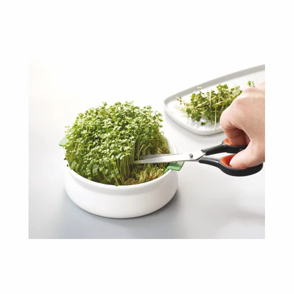 Germ'line Germoir Lot de 2 Coupelle de Germination Blanc 14.5 cm x 14.5 cm x 7 cm sans BPA
