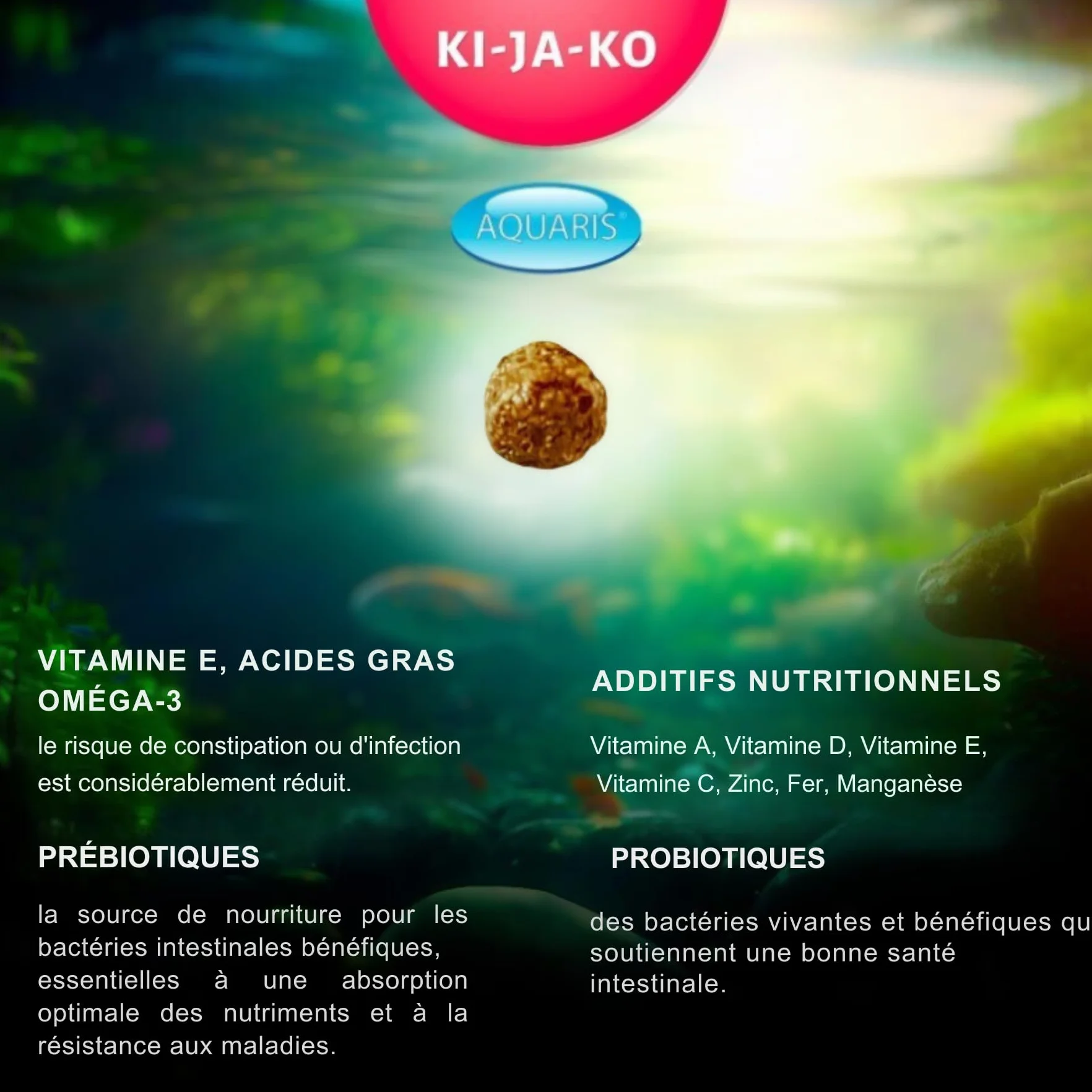 Spirulina Plus Nourriture pour Poissons caroténoïdes Riches en caroténoïdes 10 kg/6 mm – avec capsanthine et astaxanthine et forplus (algues Riches en oméga-3)
