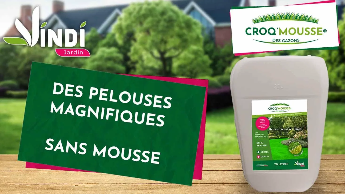 VINDI JARDIN - CROQ'MOUSSE des gazons – Engrais liquide organo-minéral 3 en 1 – Pelouse « sans mousse/+verte/+dense » - bidon 20L – Traitement pour 2000m2 – Fabrication Française.
