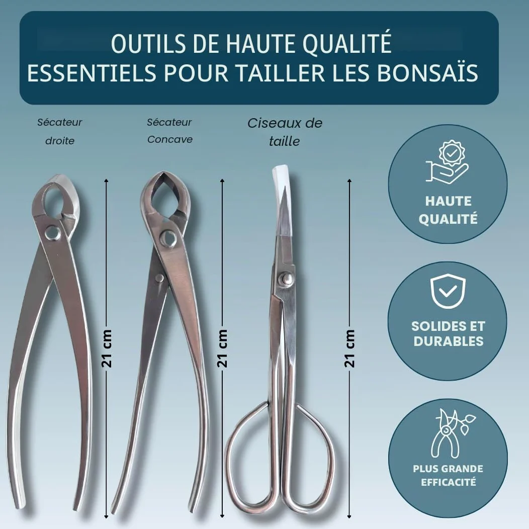 Kit d'outils professionnels pour bonsaï – Mallette d'entretien pour bonsaï avec ciseaux, sécateur concave et sécateur droit Indispensable pour l'entretien