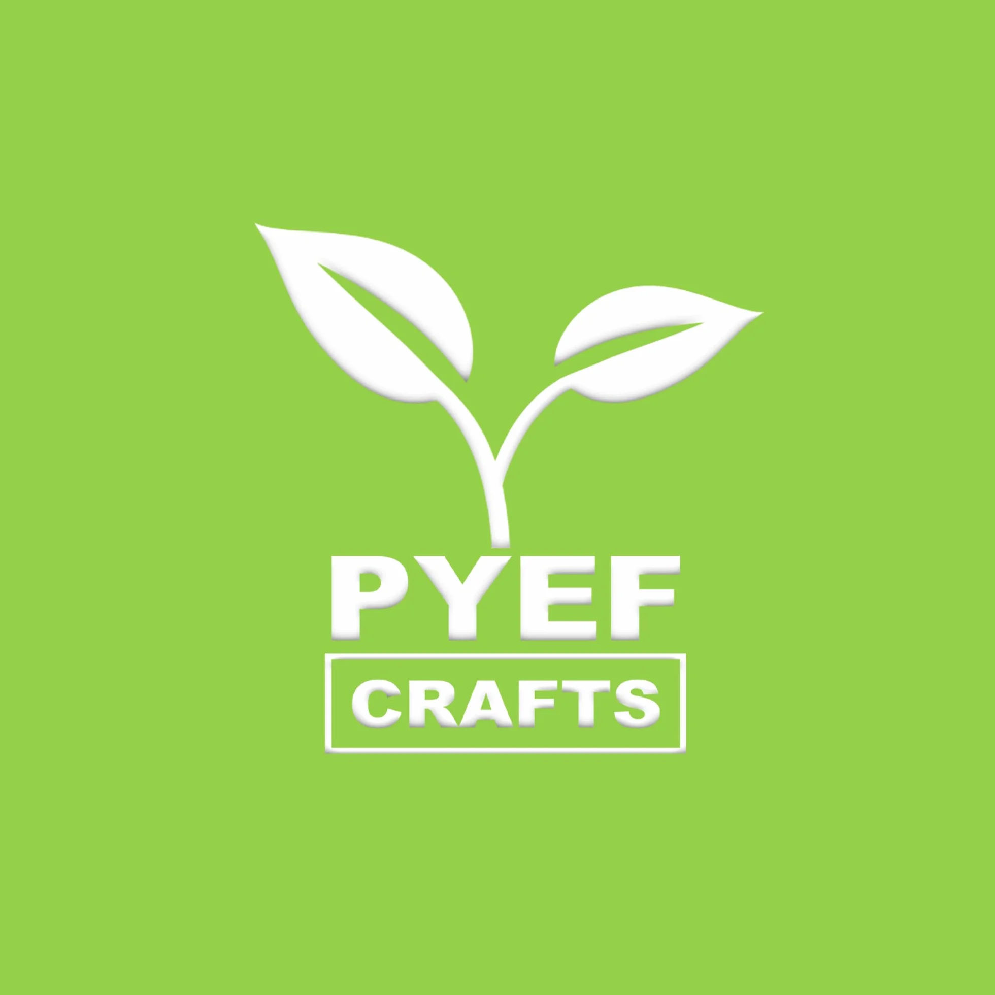Kit Jardinage Enfant Plante à Faire Pousser - Prêt à Pousser Intérieur - 4 Variétés de Graines Potager