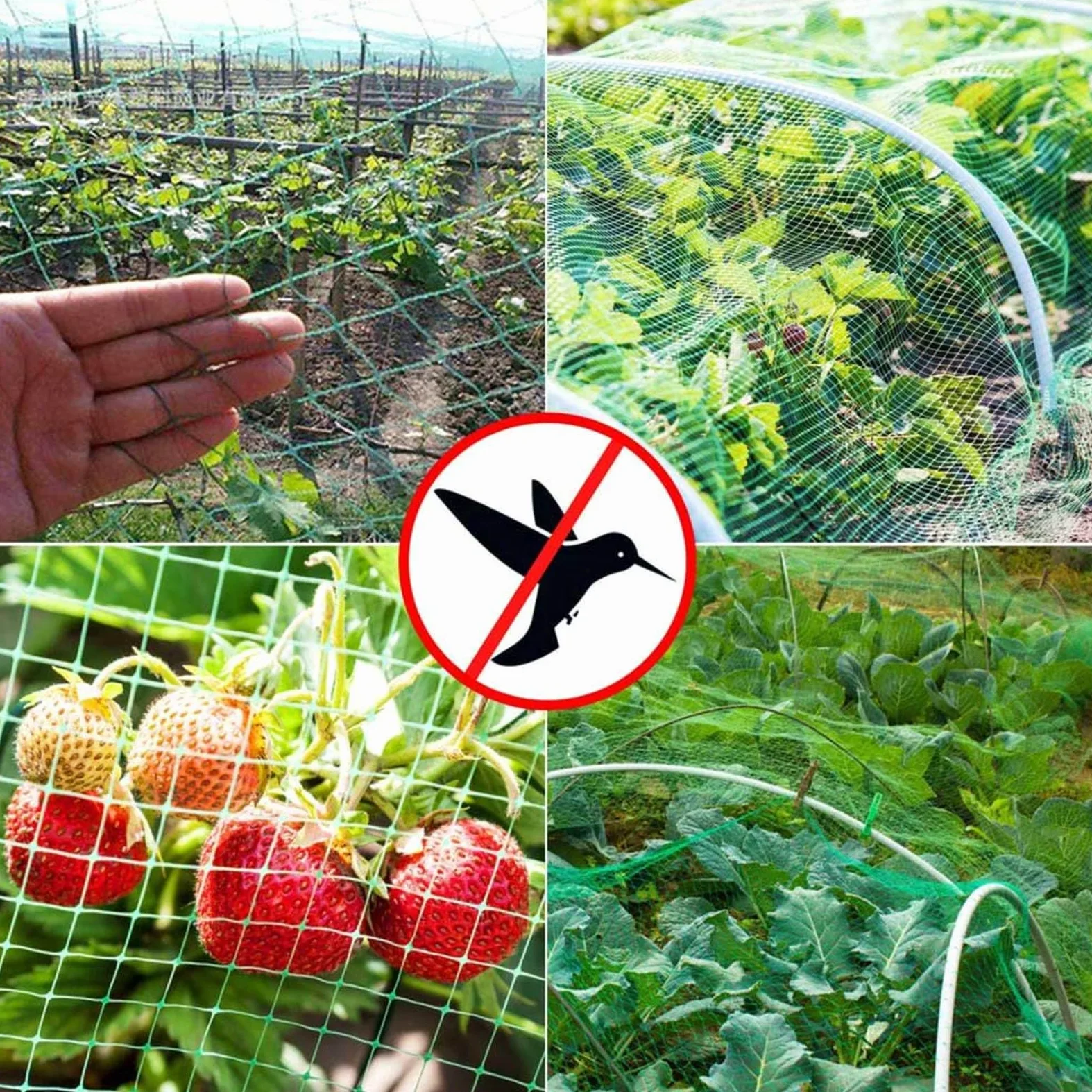 Filet Protection Oiseaux Potager Filets Anti Oiseaux Légumes Mesh Net pour Oiseaux Contrôle,4x10m