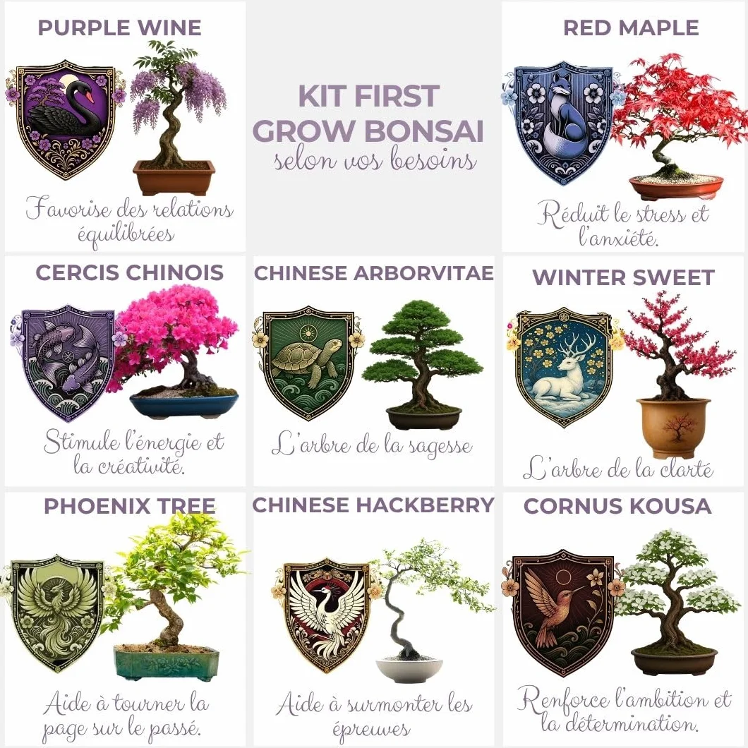 CULTIVEA® Kit First Bonsai – Kit de première culture de Bonsaï avec Graines & Accessoires, Made In France