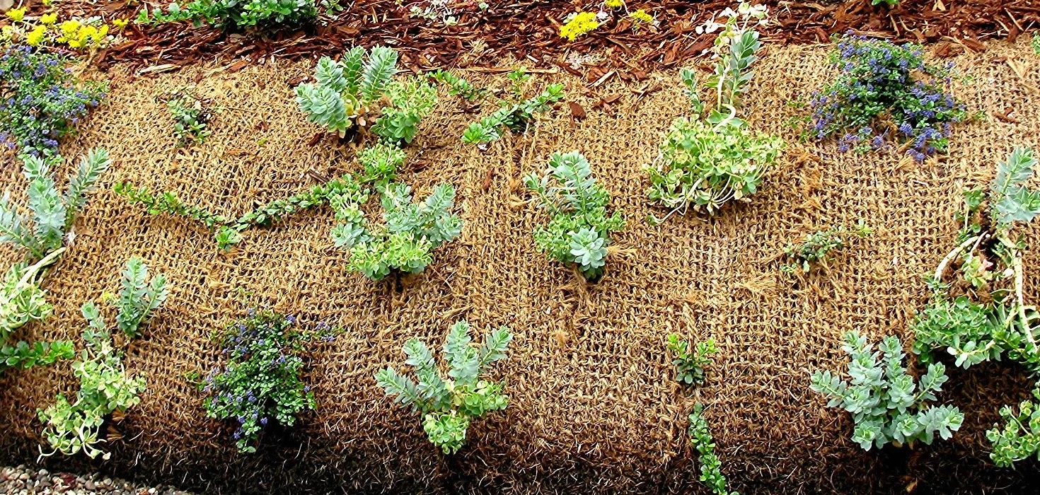 Filet Anti-érosion en Fibre de Coco 3 m x 1 m 750 g pour Bassin de Jardin