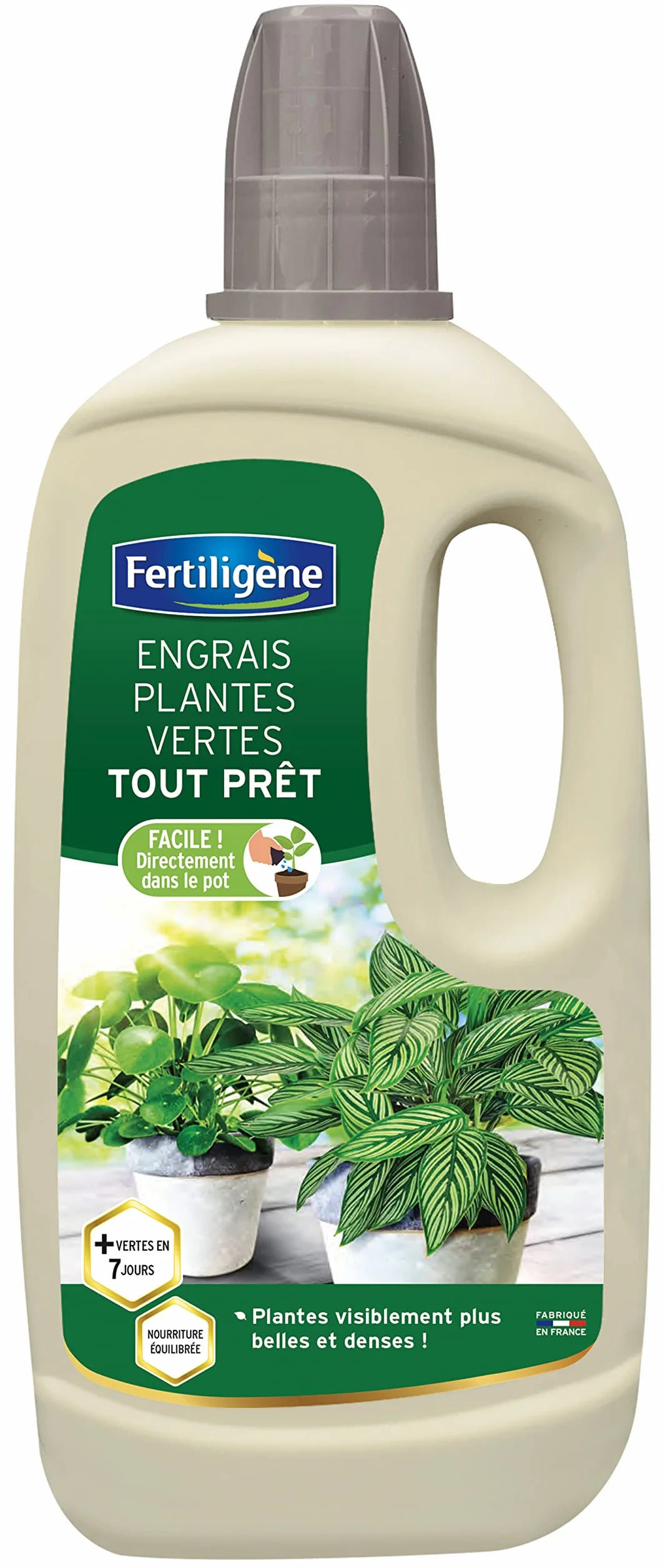 FERTILIGÈNE Engrais Plantes d'Intérieur Prêt à l'Emploi 1L Anti-Jaunissement