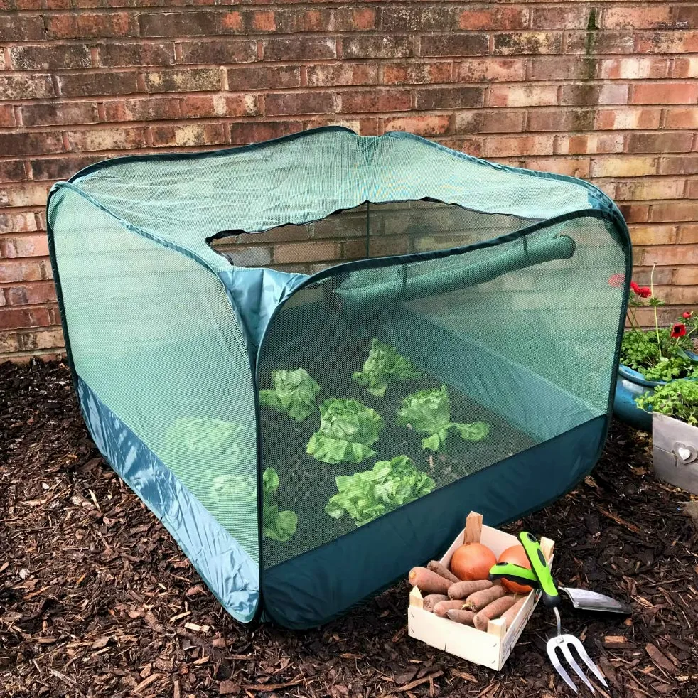 GardenSkill Mini Serre Jardin Filet Anti-Oiseaux 100x75cm | Pop Up Housse de Protection pour Plantes, Semis, Cultures | Couverture Potager, Pot de Fleur | Protège des Insectes, Pluie, Surchauffe