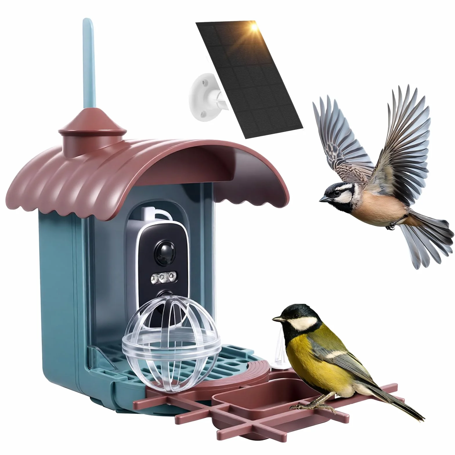 Nichoir à Oiseaux avec Caméra 4MP Solaire mangeoire Station d'alimentation Enregistrement vidéo Photo Identification IA Détection Mouvement Notification
