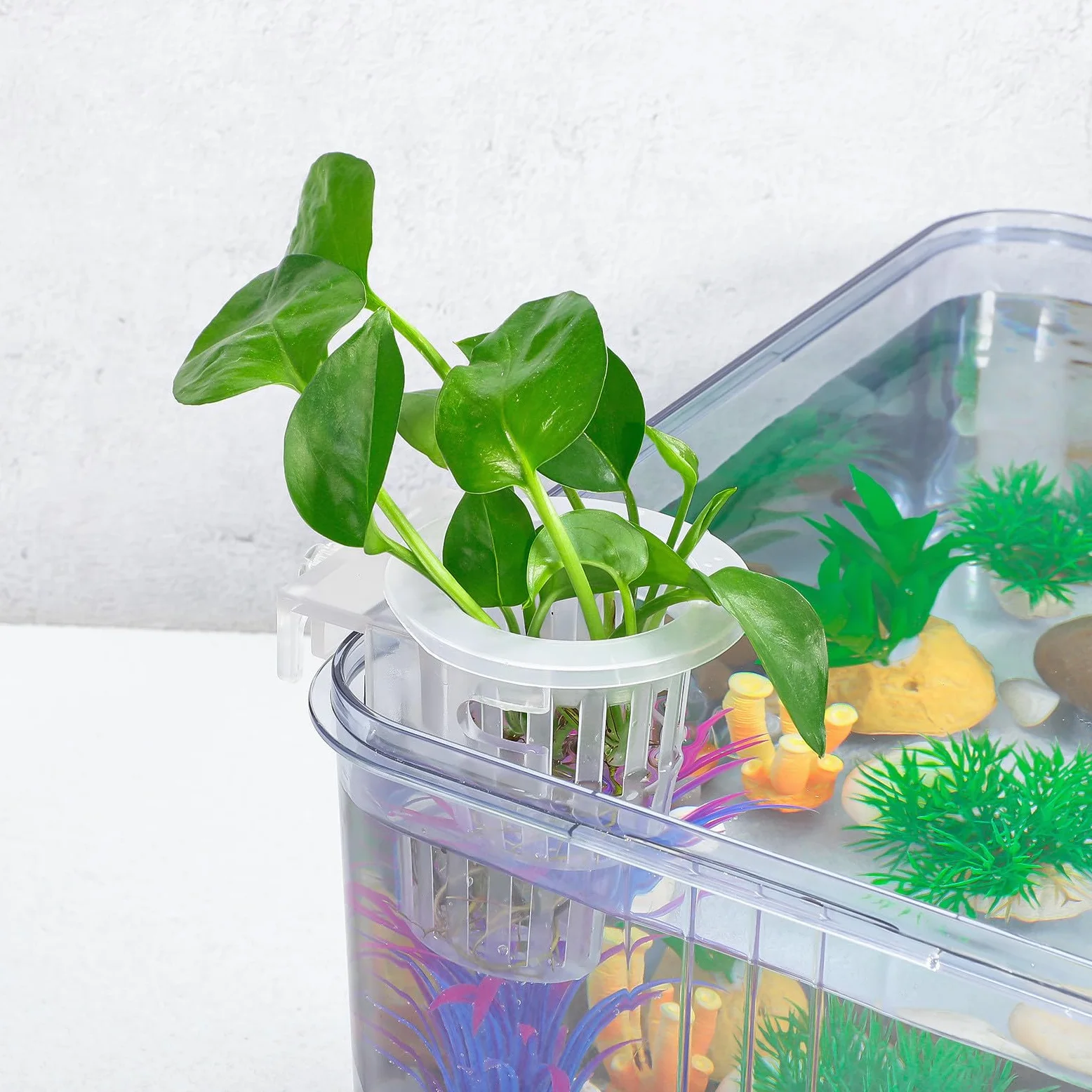 SUPVOX Lot de 4 supports de plantes à suspendre pour aquarium avec ventouses – Paniers de plantes pour aquarium et décoration d'aquarium