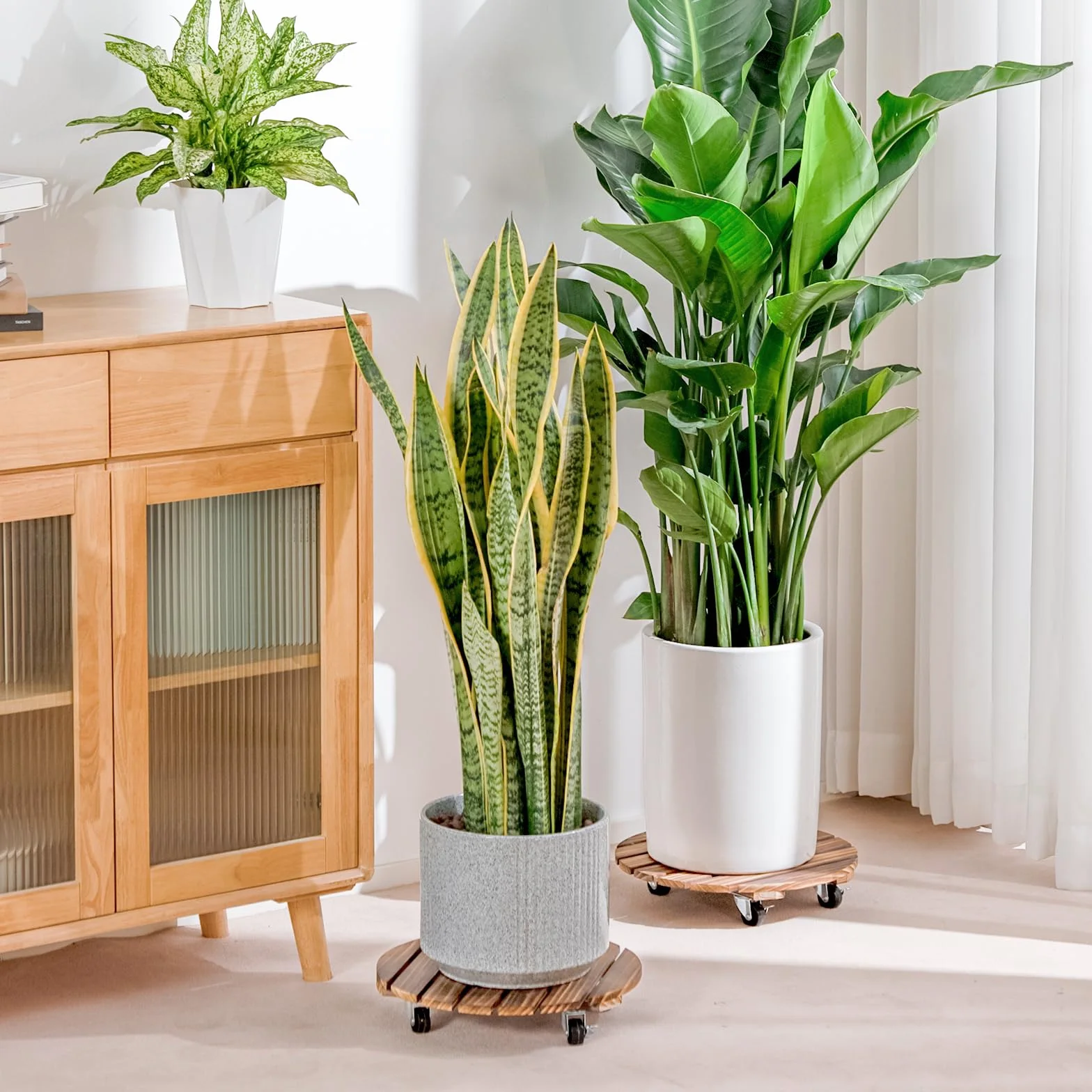 Bamworld Porte Plante à Roulettes, Lot de 2 Plateaux Roulants 30,5 cm, Capacité 100 KG, Marron Foncé