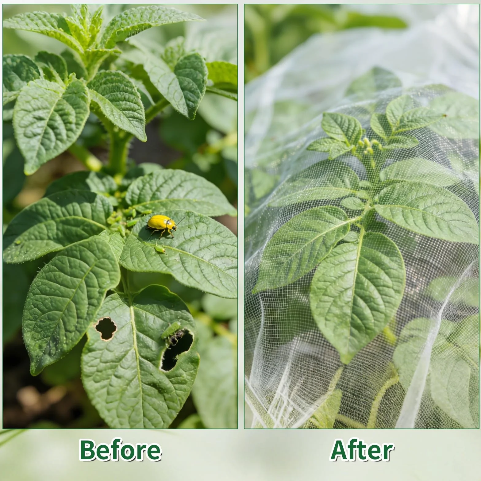 Filet Anti-Insectes 1.2 x 3m Maille Fine Protection Plantes Potager