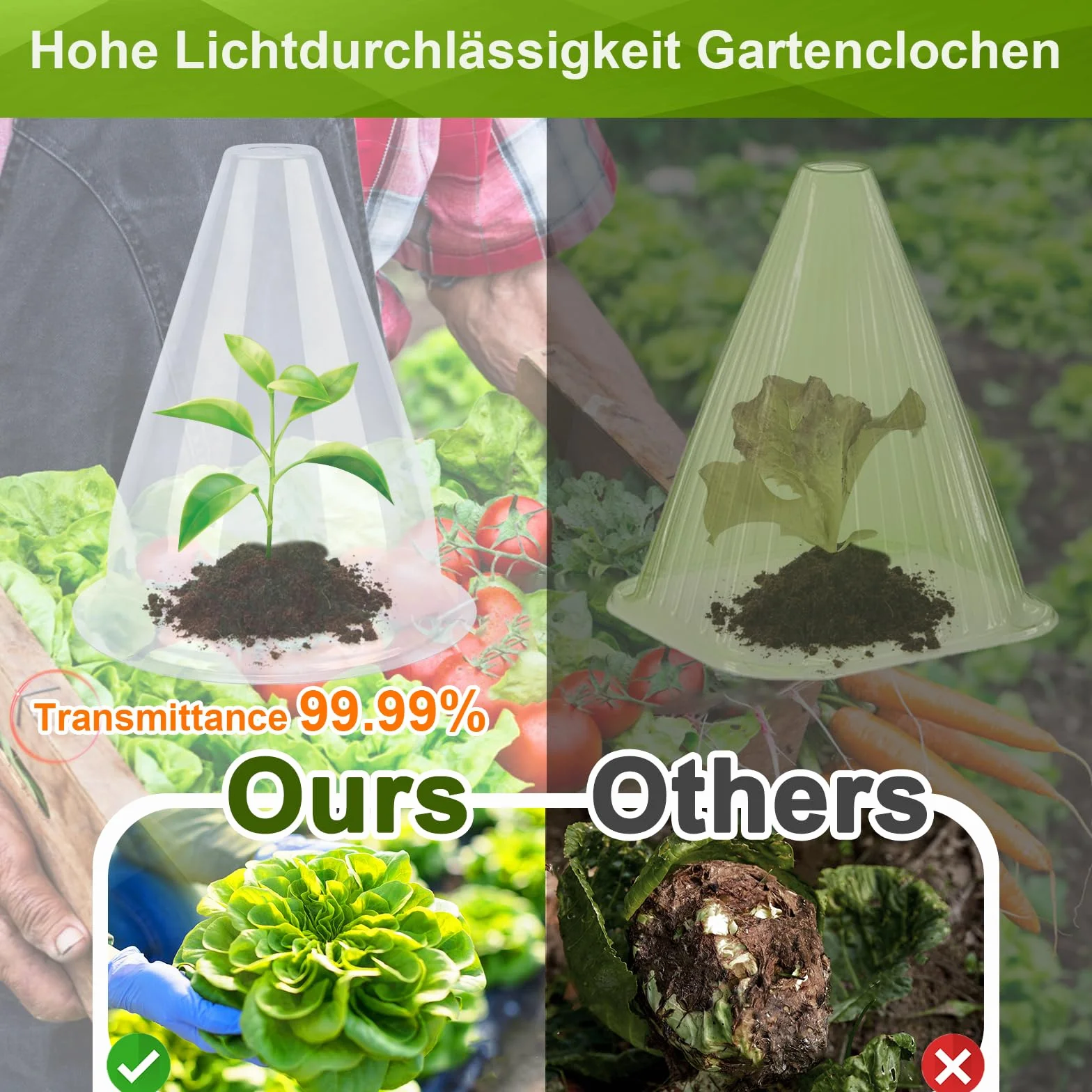 Chapeaux de Plantes Transparent 20 cm 24 Pièces Protection Oiseaux Gel Intempéries