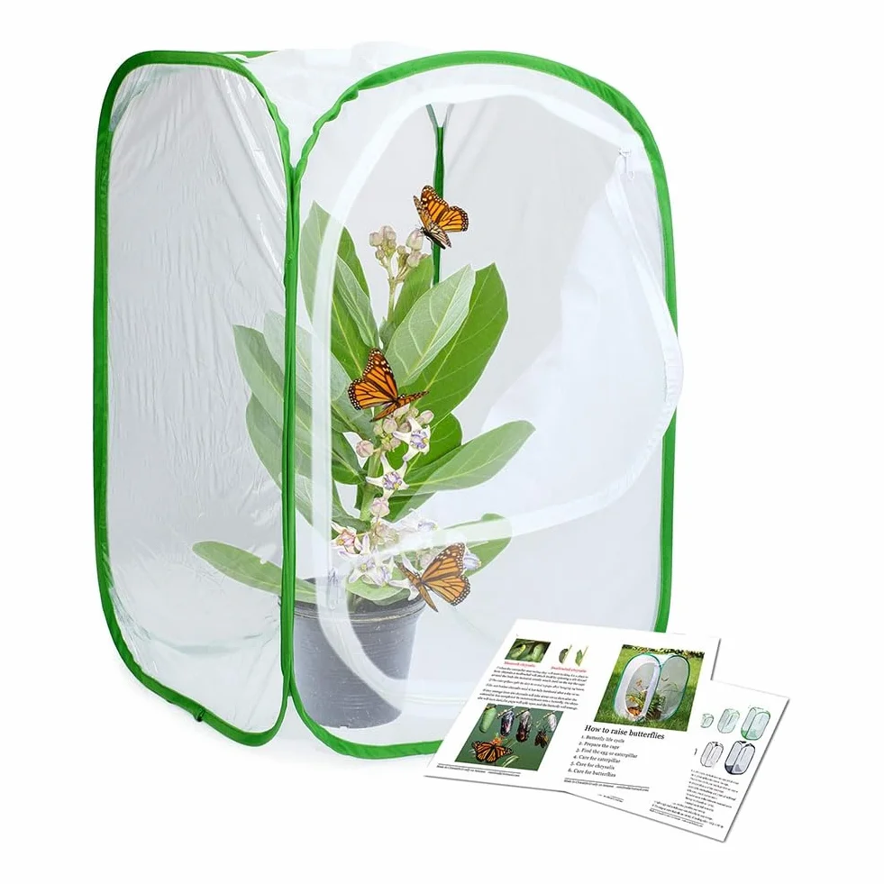 Lot de 2 cages habitat à insectes et papillons - Pour terrarium - 2 x 15,7 x 15,7 x 23,6 cm - Blanc durable + vert