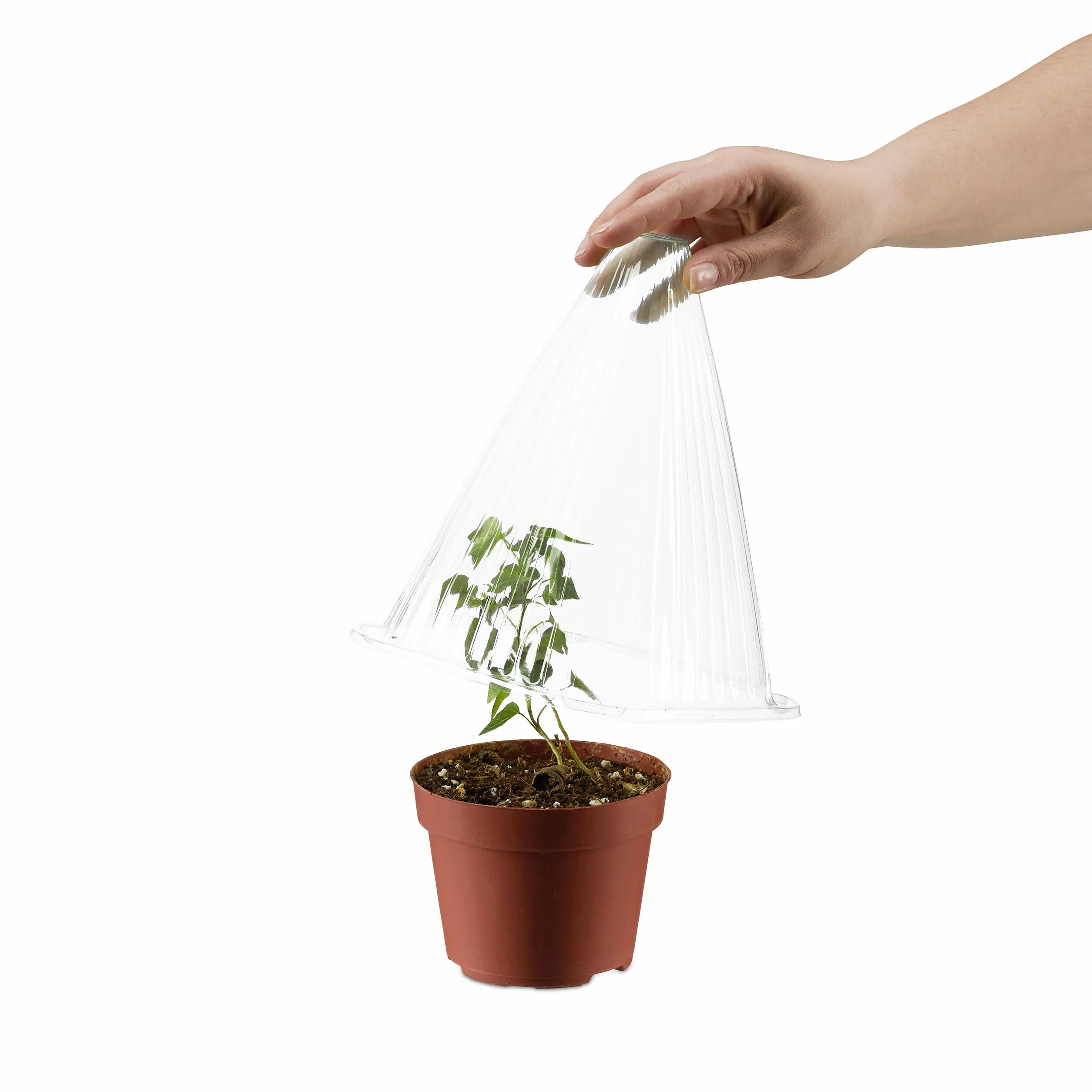 Relaxdays Cloches à Salade Lot de 10 Protection Contre Gel 22 x 19 x 19 cm Plastique Transparentes