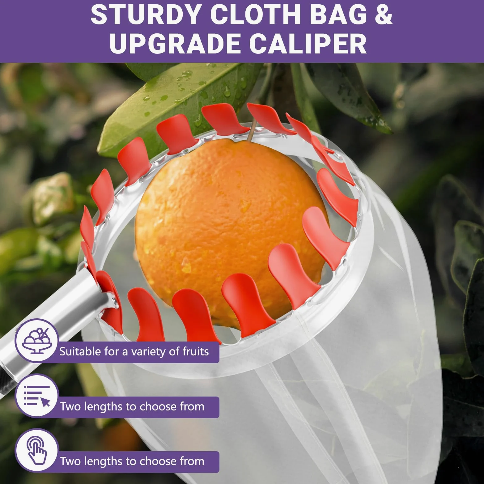 Cueilleuse à fruits avec manche télescopique de 6 m - Diamètre : 16 cm | Cueilleuse à prunes avec sac de rangement