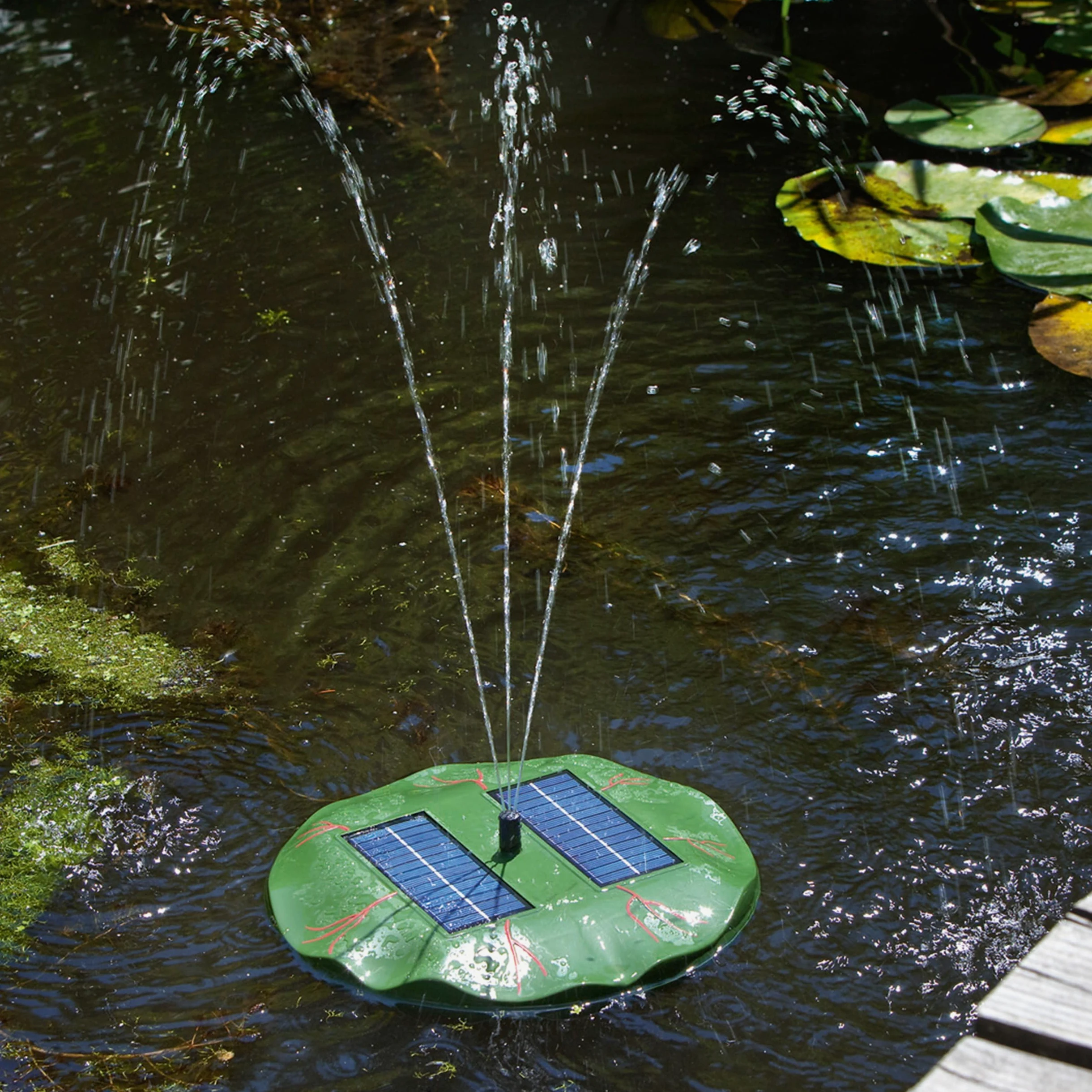 Esotec Pompe de Bassin Flottante nénuphar | Kit Complet avec Pompe d'arrosage, Panneau Solaire, Fontaine Solaire pour Bassin de Jardin, Jeu d'eau, Pompe de Fontaine, Fonctionnement Direct 0,4 m, 160