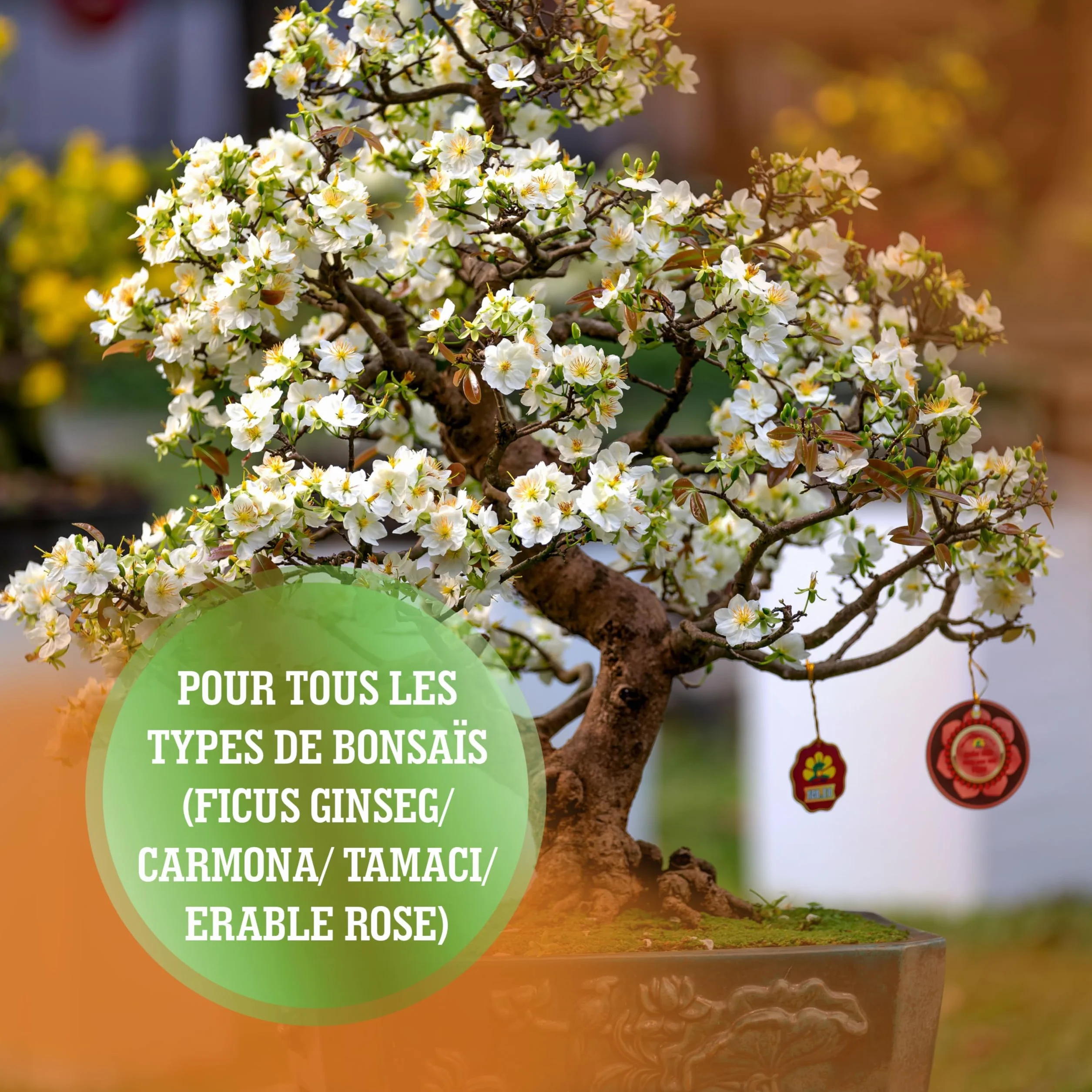 LERAVA Engrais Bonsai Liquide 330ml avec Tapo Doseur - Engrais Ficus Ginseng, Carmona, Tamac - Favorise Lignification - Made in Italy
