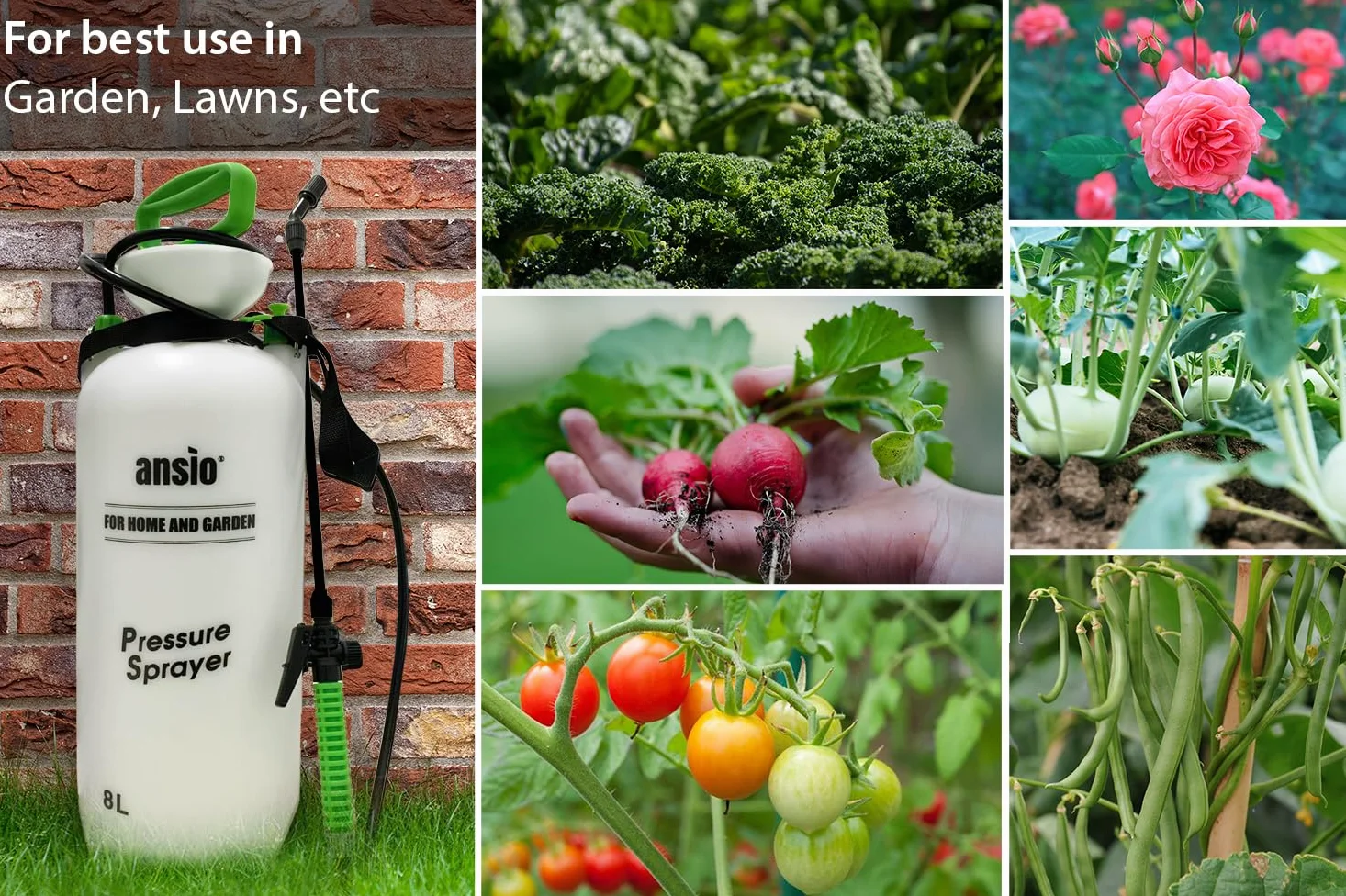 ANSIO® Pulvérisateur de jardin à pression 8 litres - Idéal pour pesticides, insecticides, fongicides