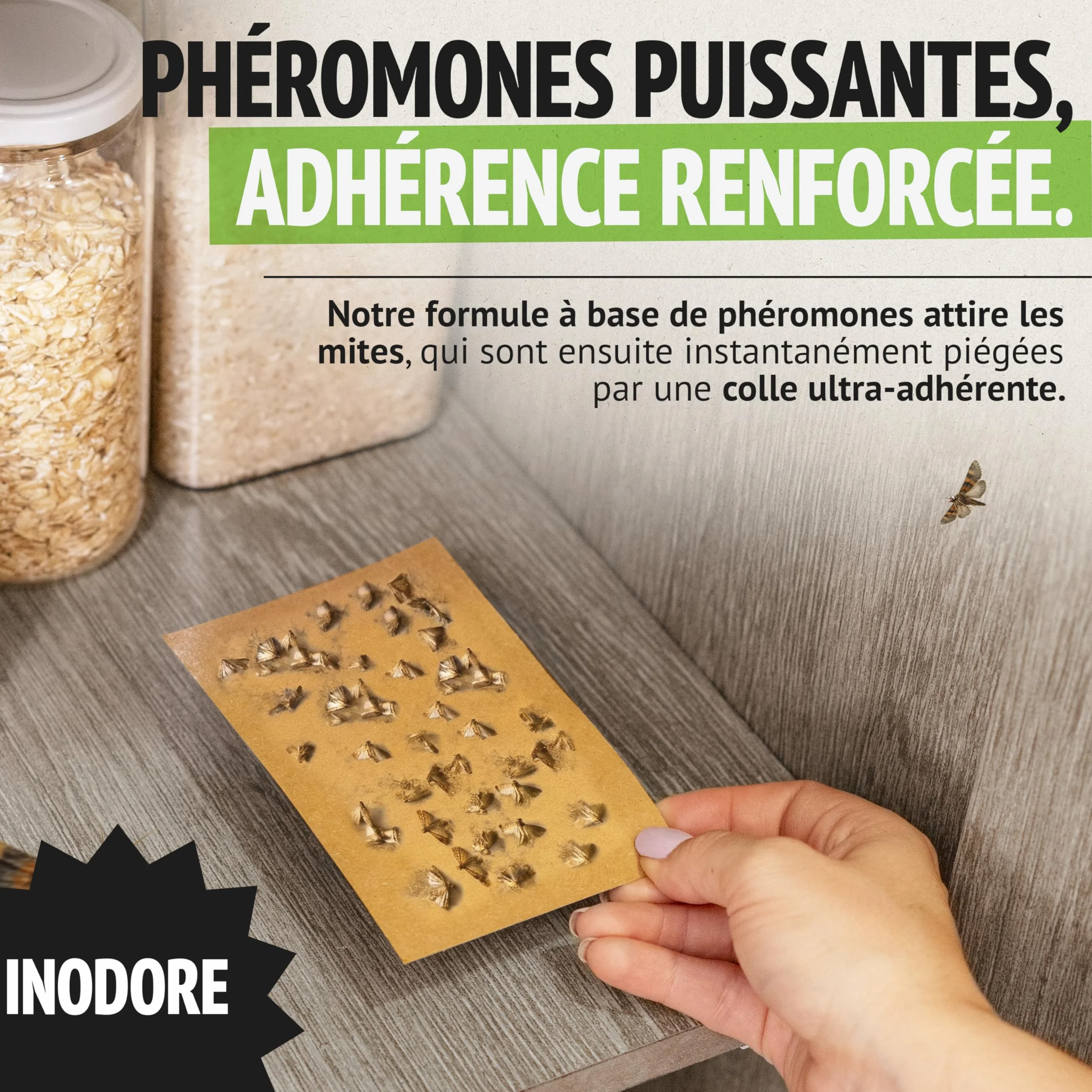 Super Ninja Anti Mites Alimentaires Pack de 4 Pièges avec Phéromone Attractif Cuisine Placards Protection 3 Mois